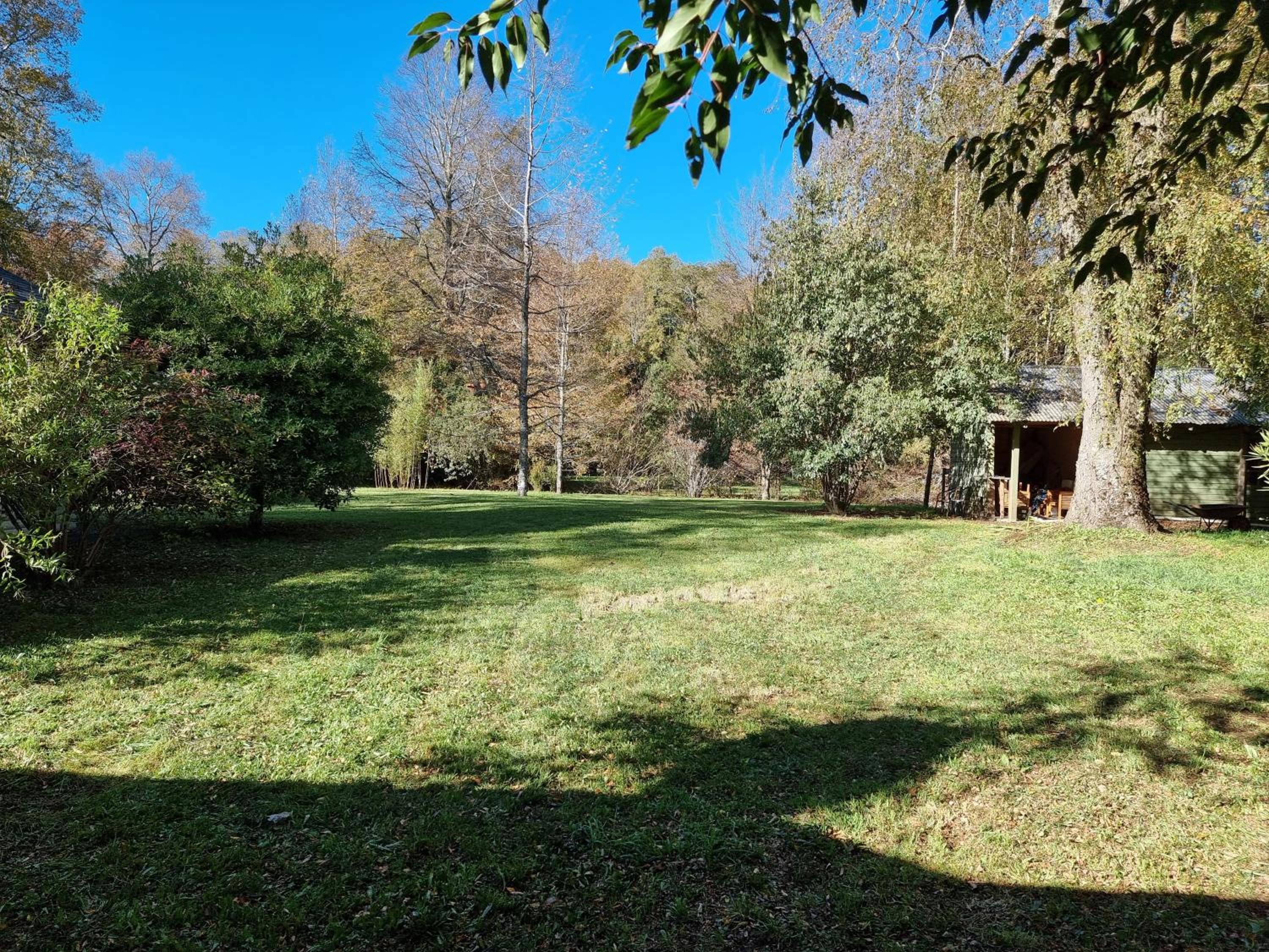 La Casa del Árbol Villarrica Cabañas-Piscina-Tinajas