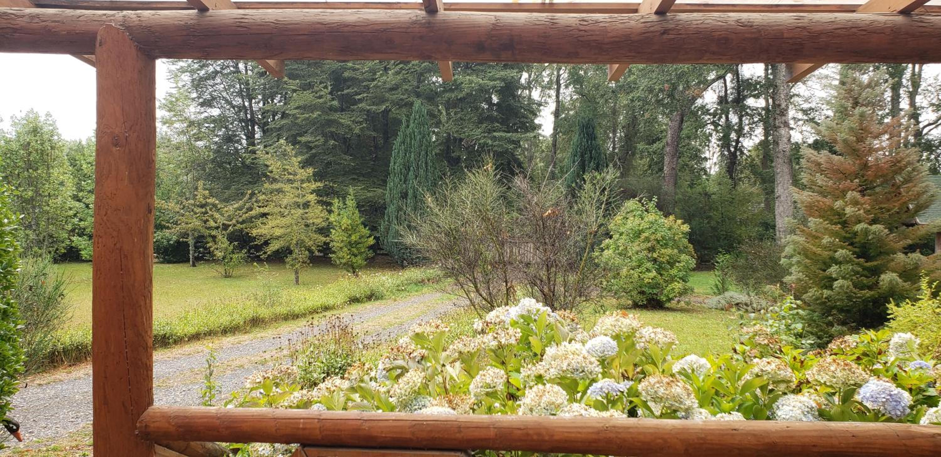 La Casa del Árbol Villarrica Cabañas-Piscina-Tinajas