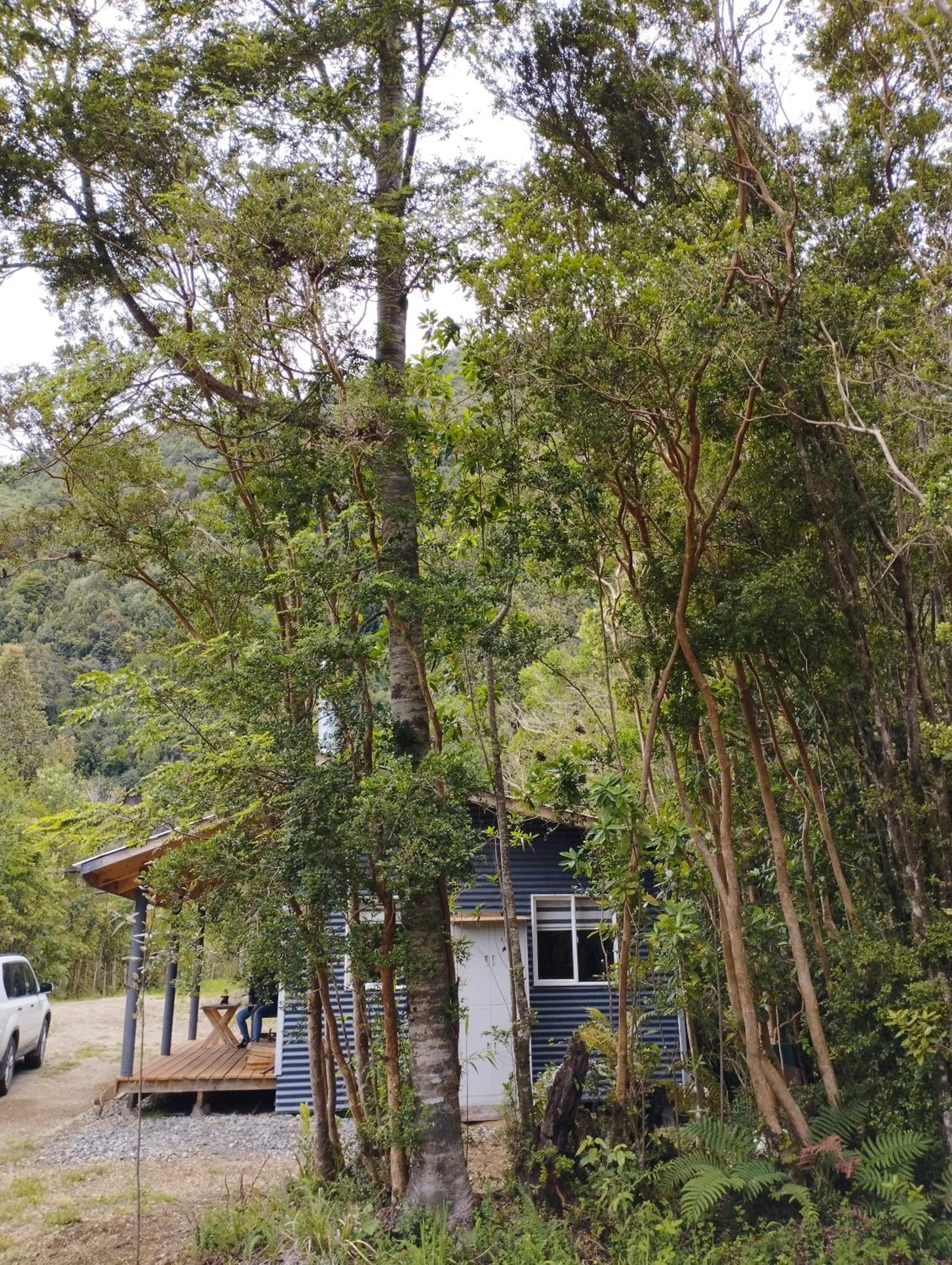 Cabañita Sustentable El Este Cochamó