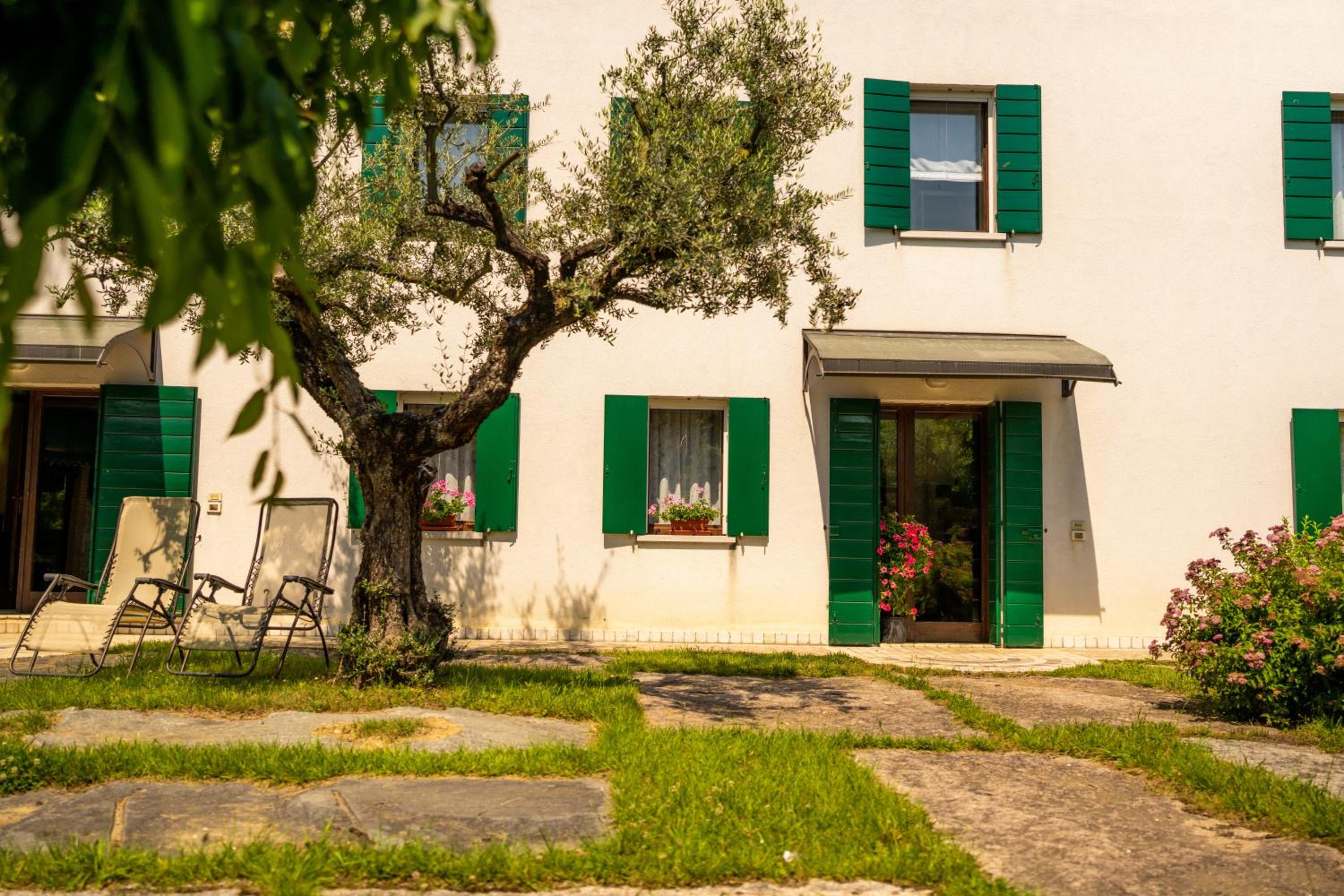 GATTO IN VIGNA view 5