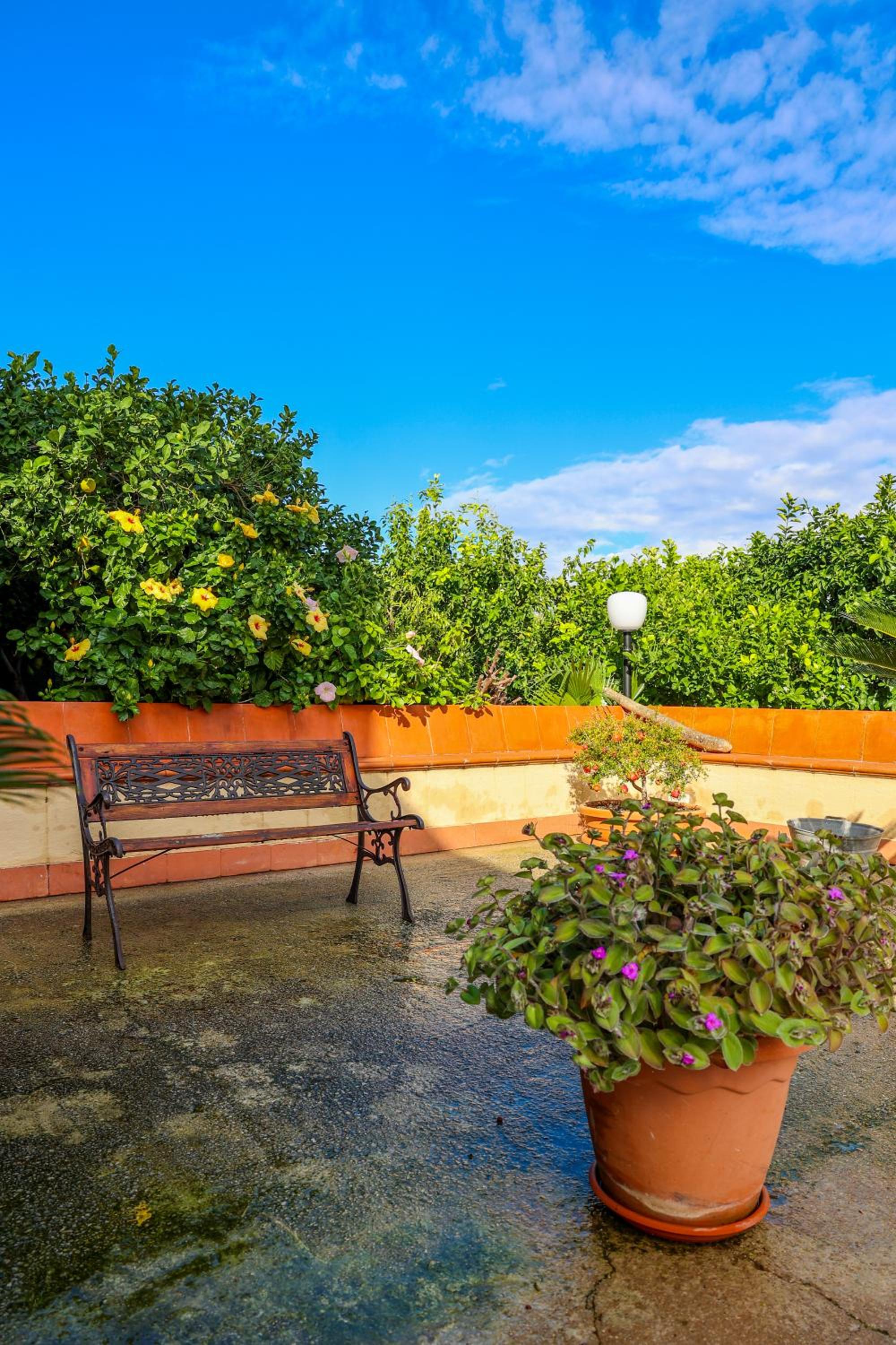B&B Giardino dei Cedri, photo 121