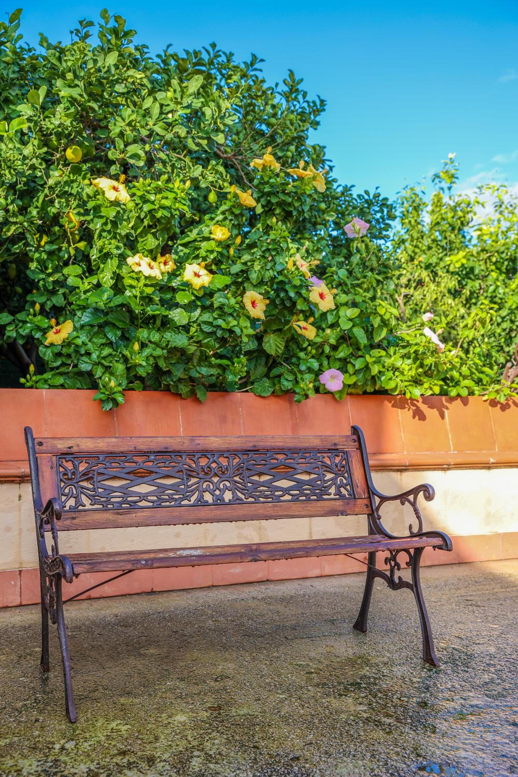 B&B Giardino dei Cedri, photo 92