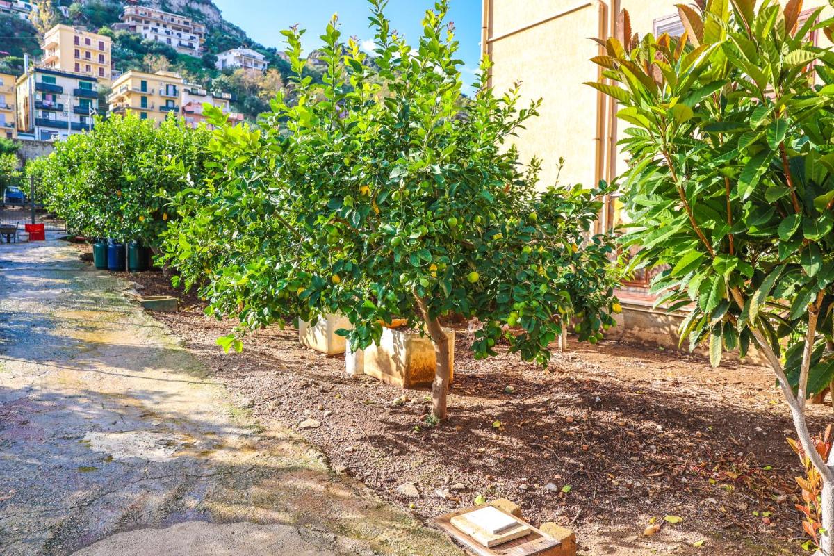 B&B Giardino dei Cedri, photo 2