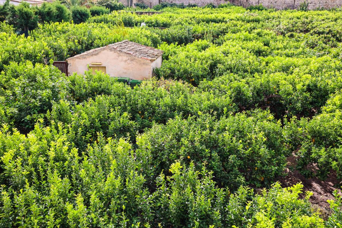 B&B Giardino dei Cedri, photo 148