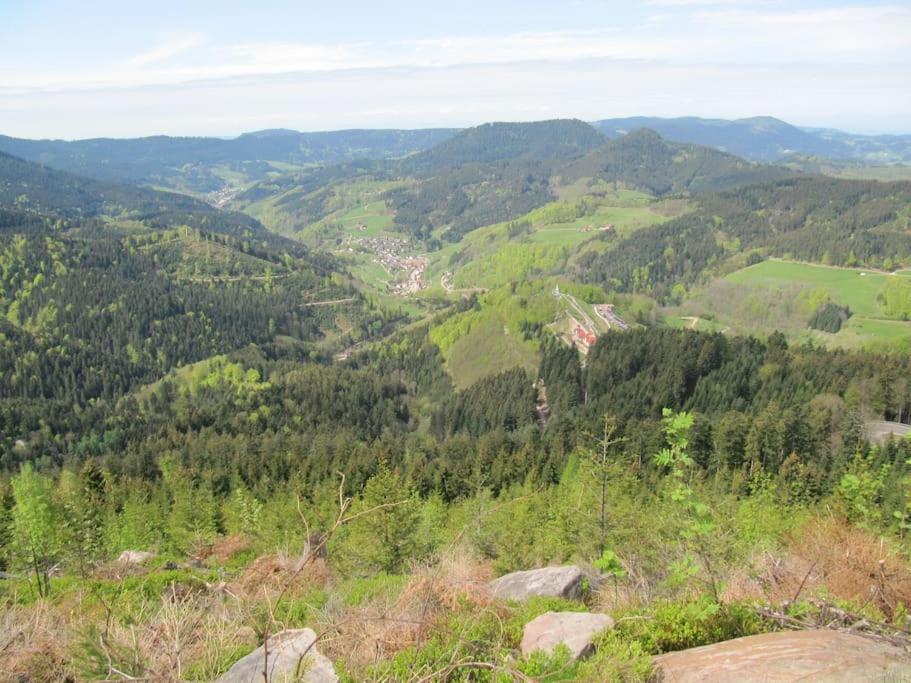 Ferienwohnung Schwarzwaldblick