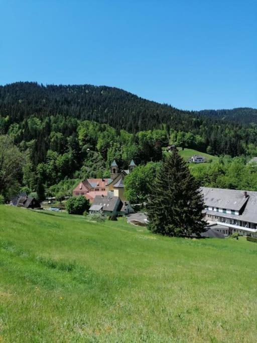Ferienwohnung Schwarzwaldblick