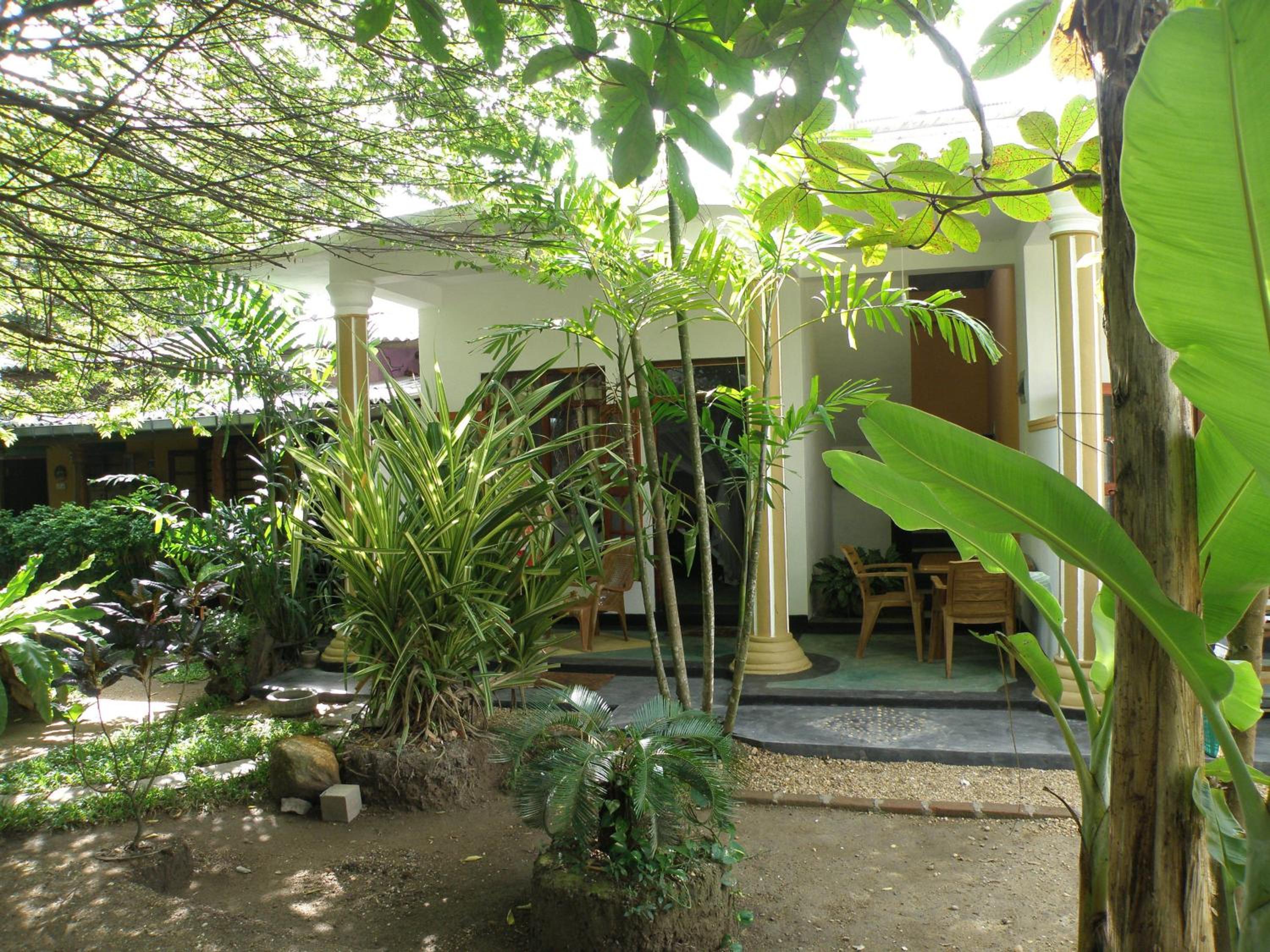Photo 41