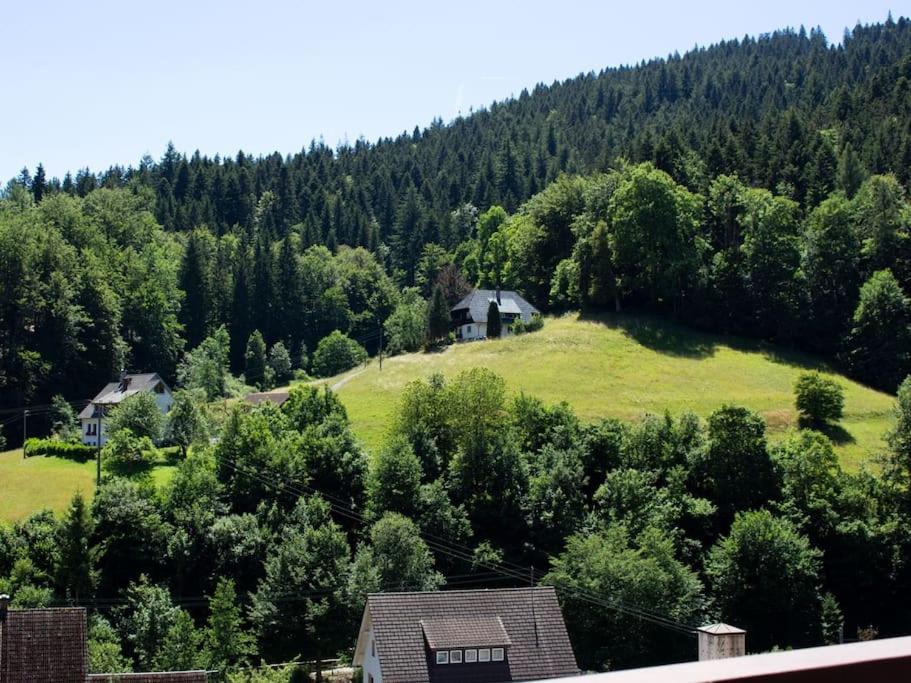 Ferienwohnung Schwarzwaldblick