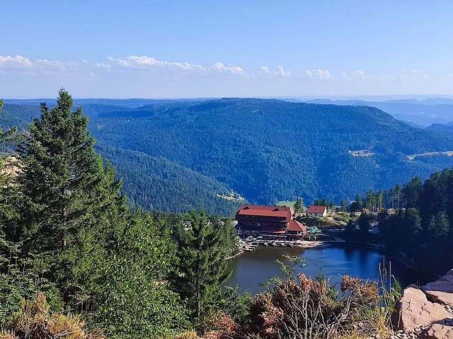 Ferienwohnung Schwarzwaldblick