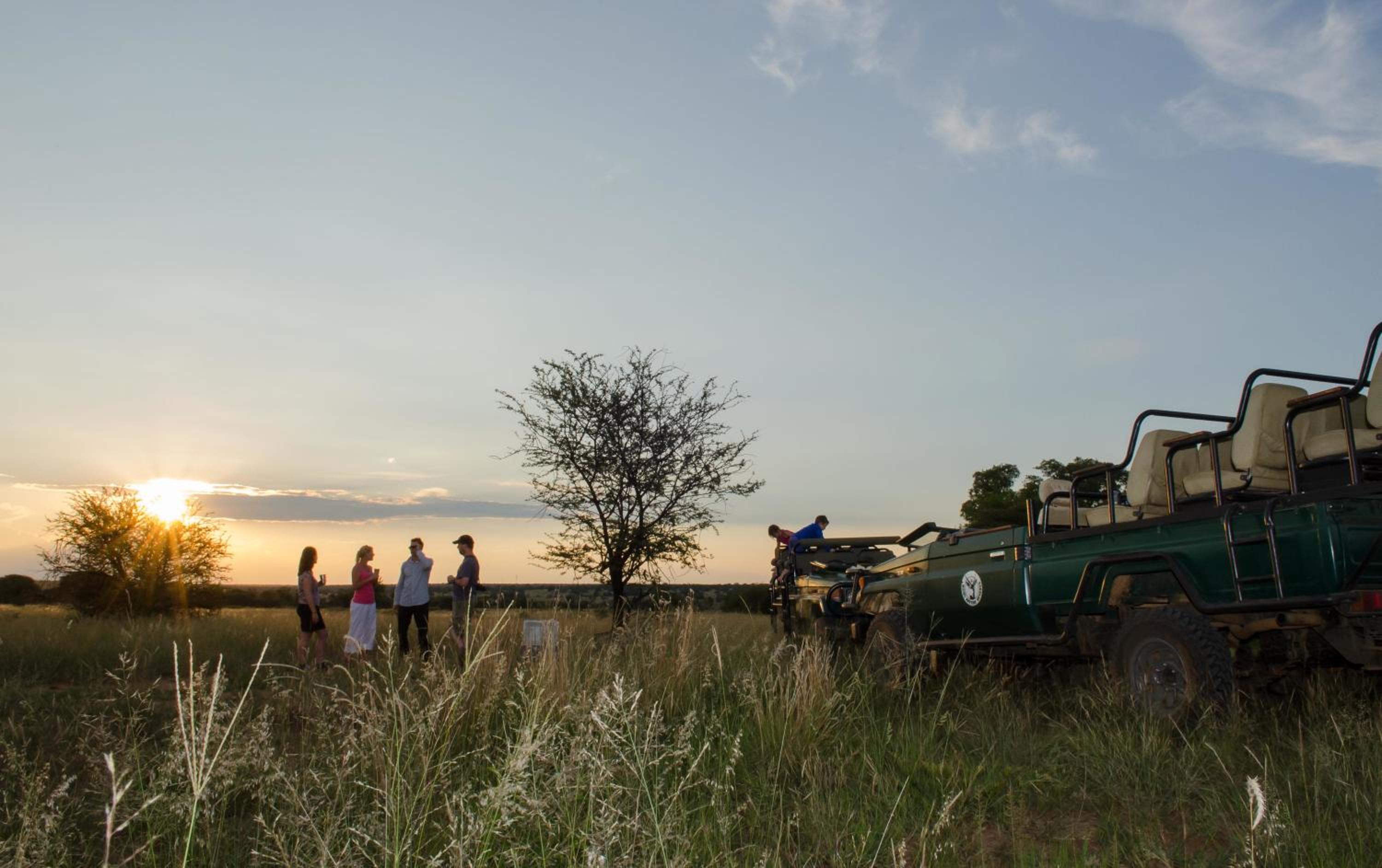 Mziki Safari Lodge