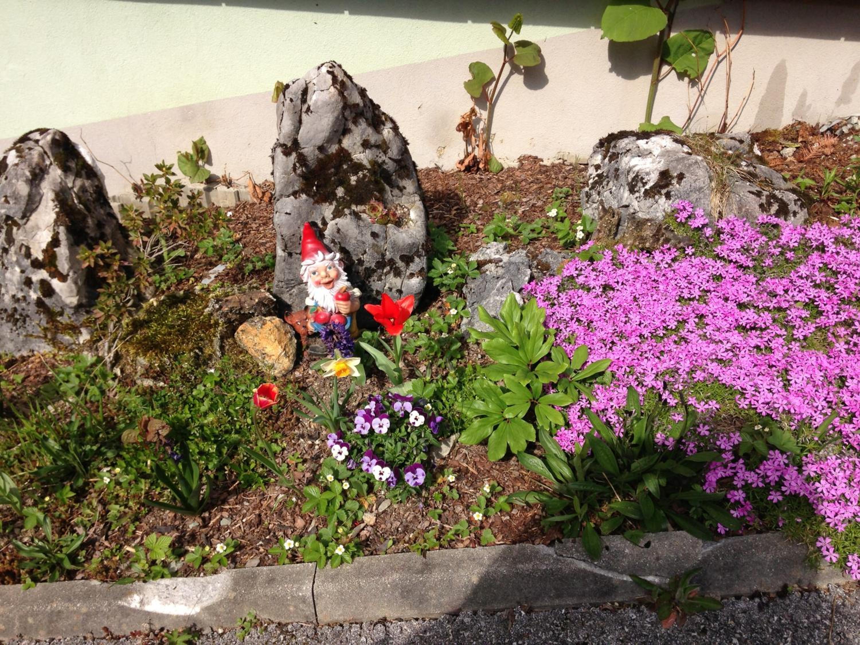 Photo 36