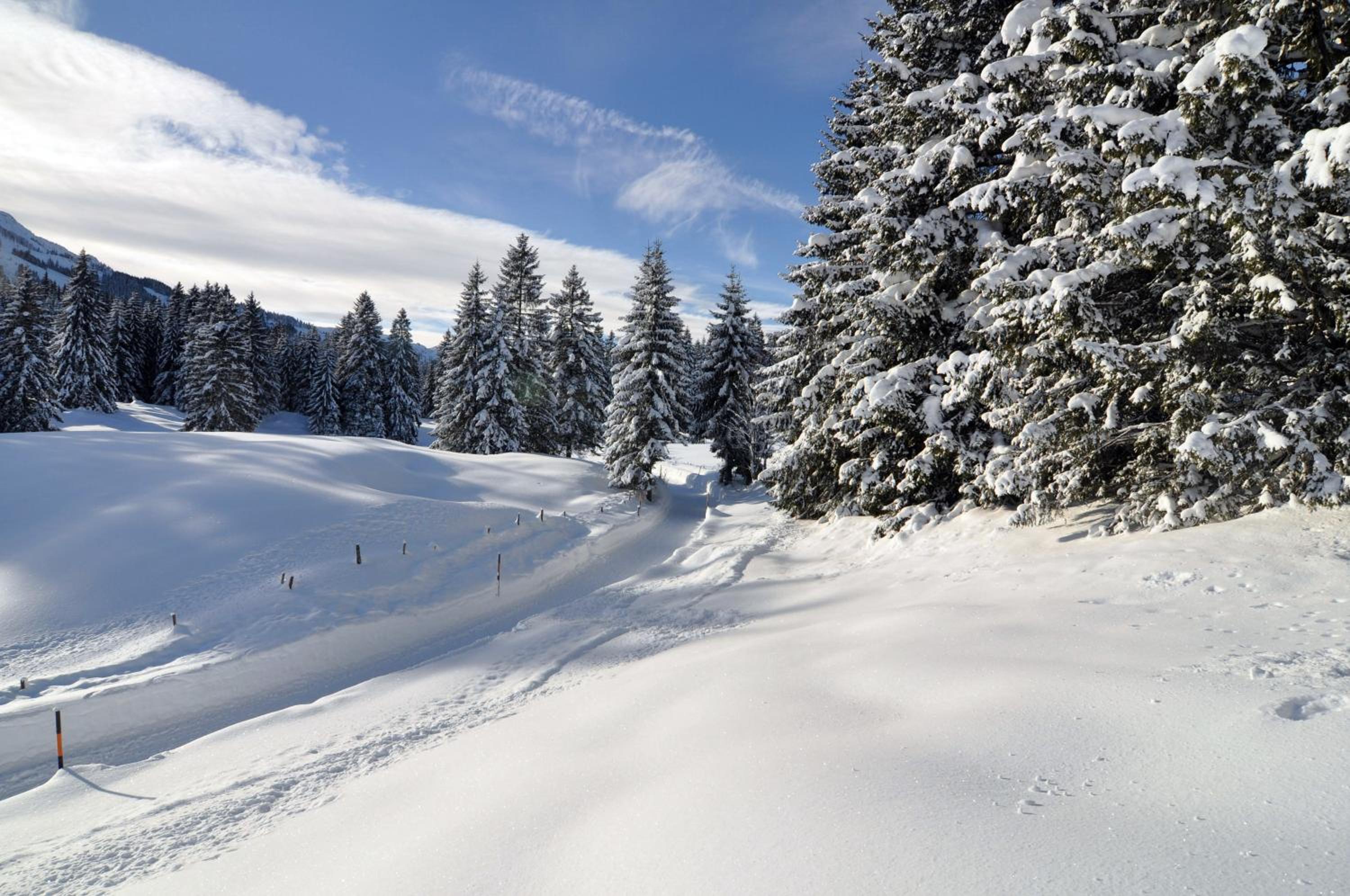 Landhotel Berghof - Property Image 8