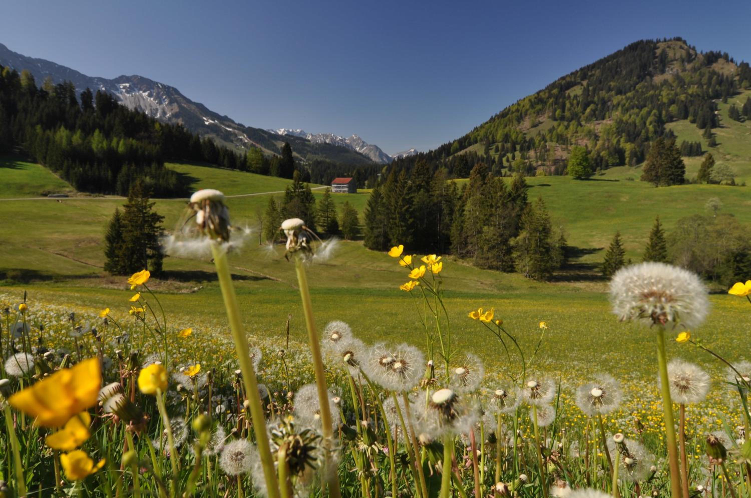 Landhotel Berghof - Property Image 3