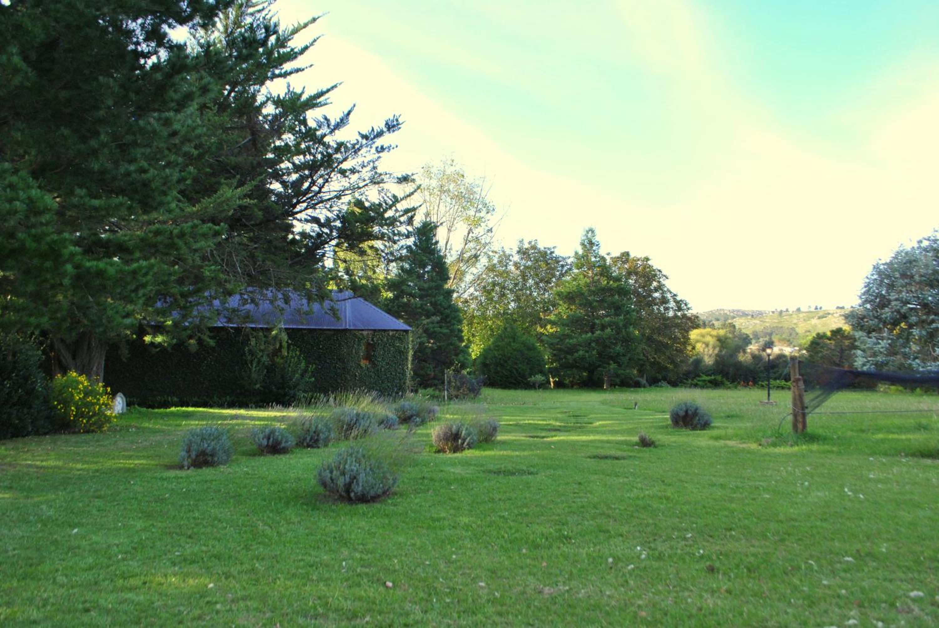Cabañas Las Dinas