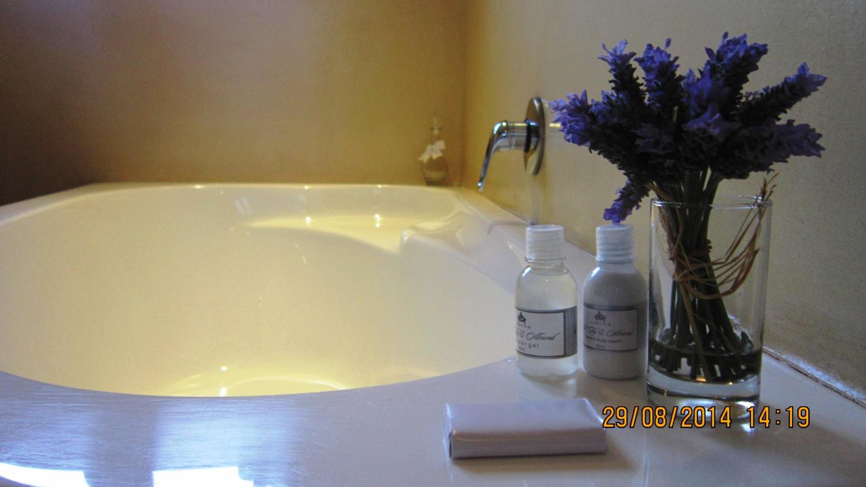 Photo 23