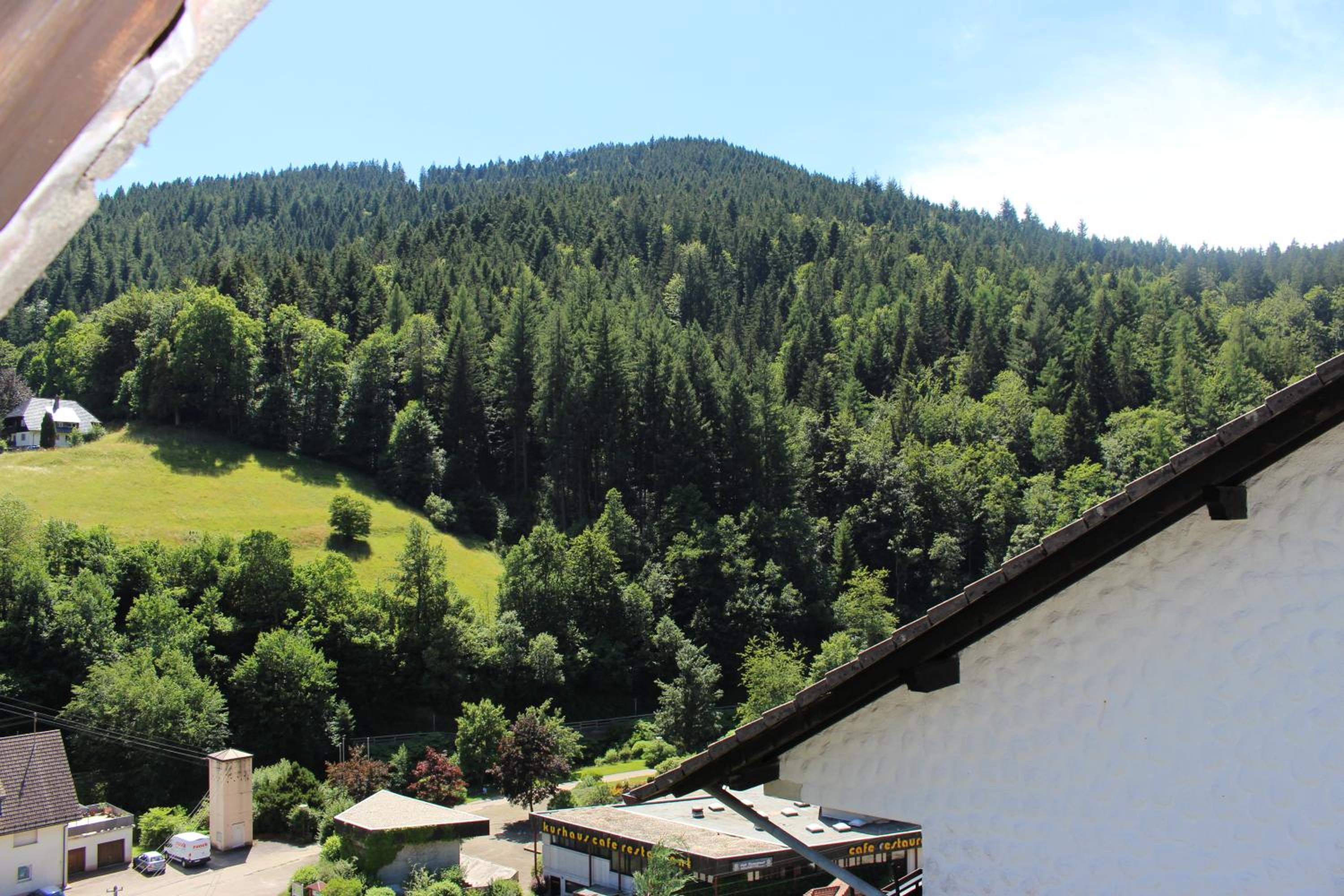 Ferienwohnung Schwarzwaldblick