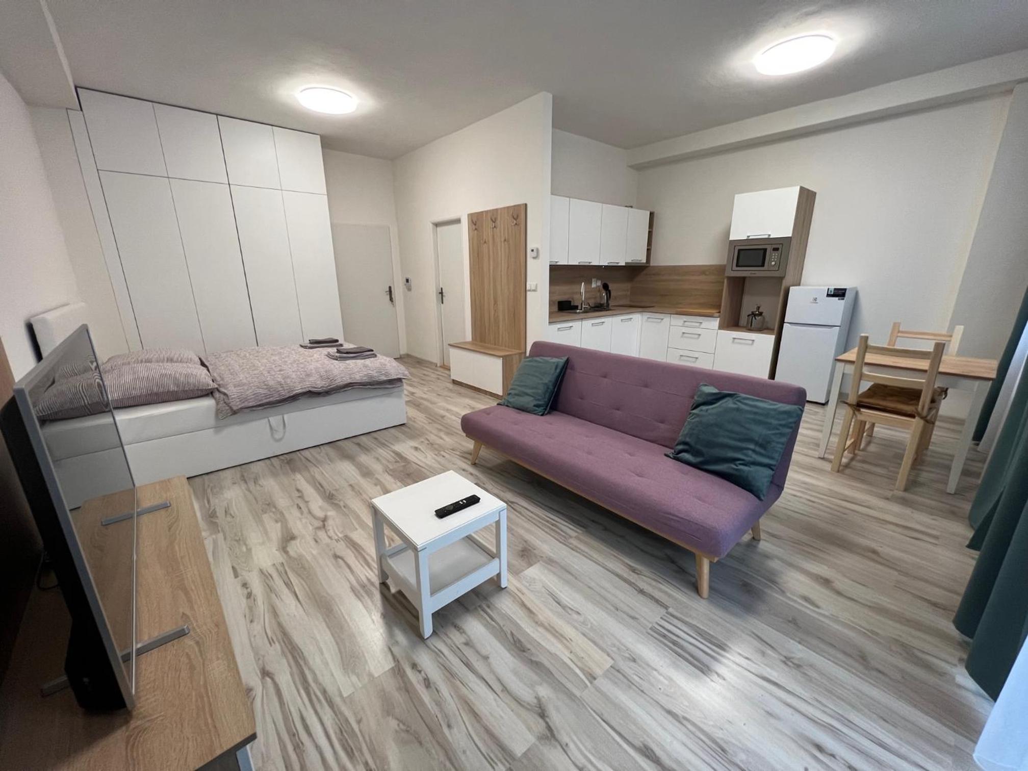 Apartman Liptov NP14 view 4