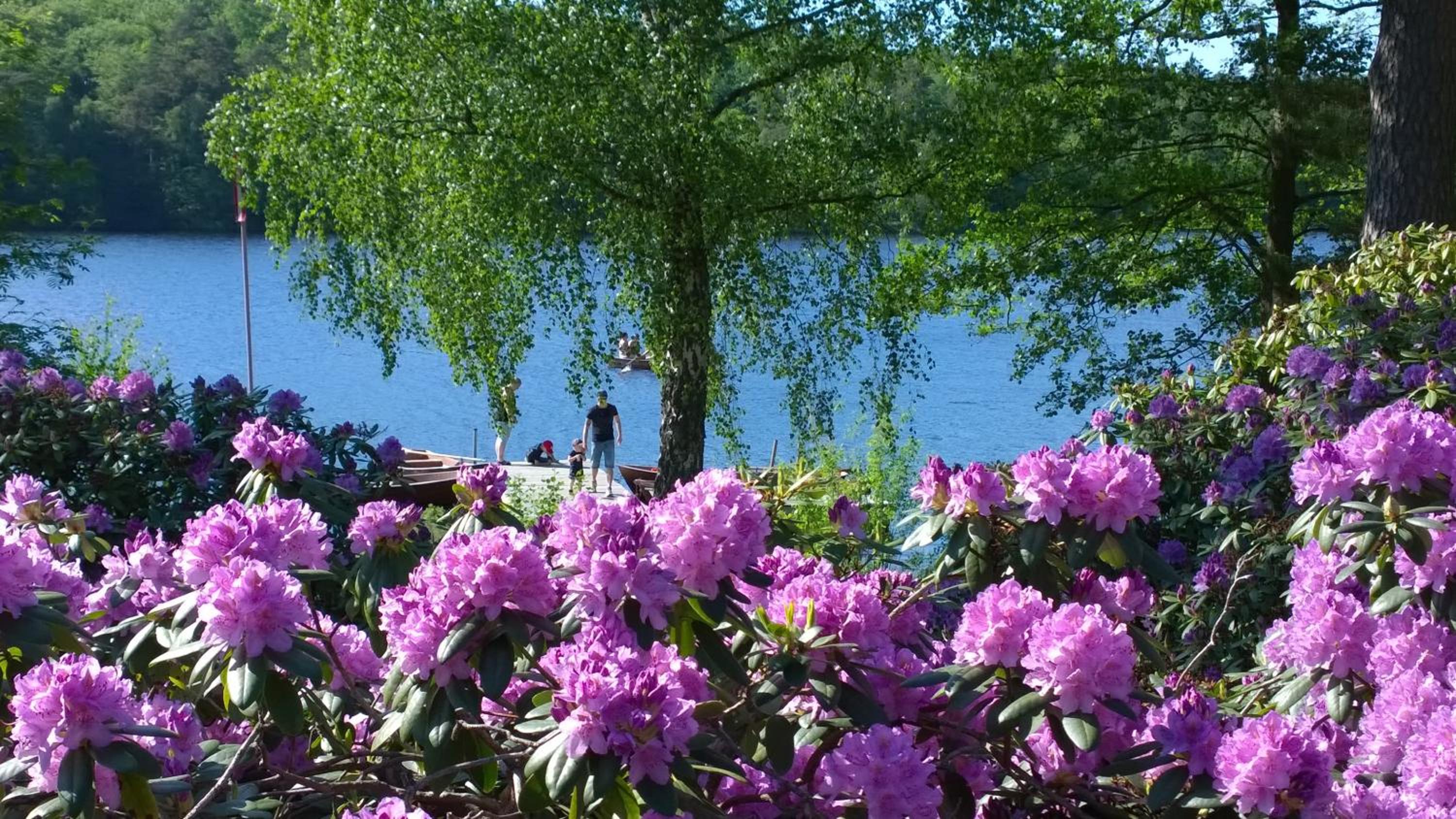 Långasjönäs Camping & Stugby