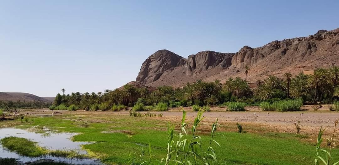 Ouarzazate Vacations - ecolodge bivouac des aigles - Property Image 8