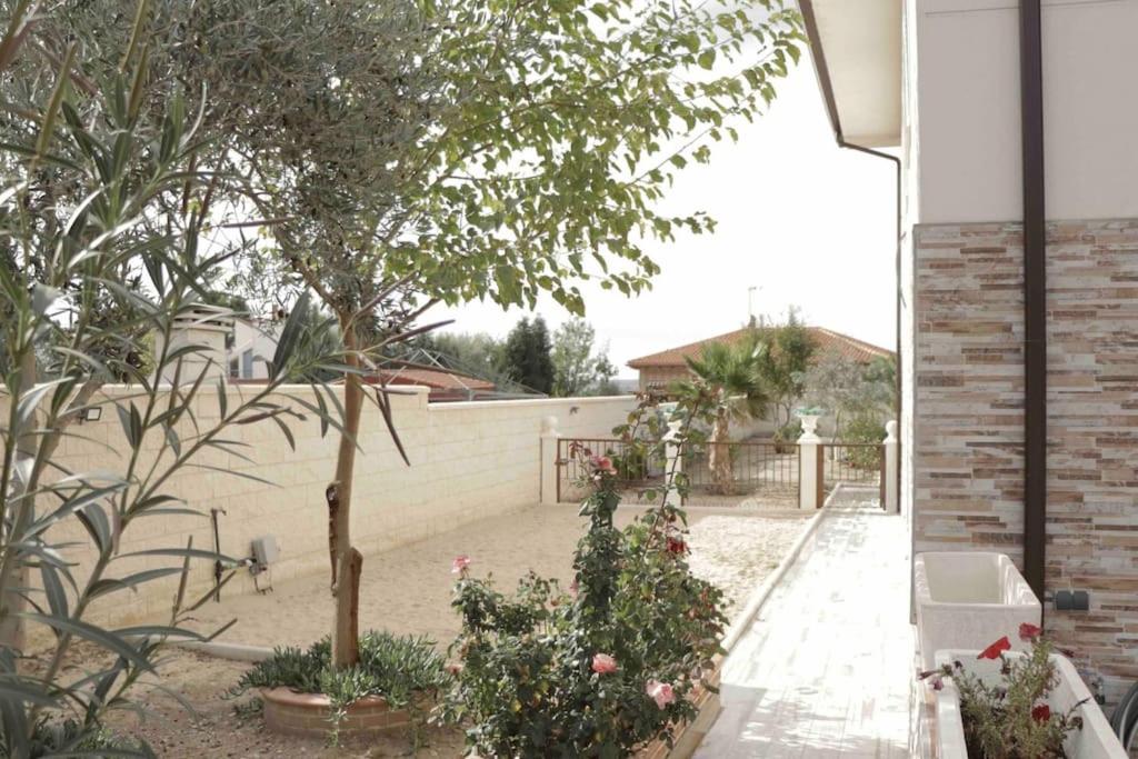 Hacienda Cruz