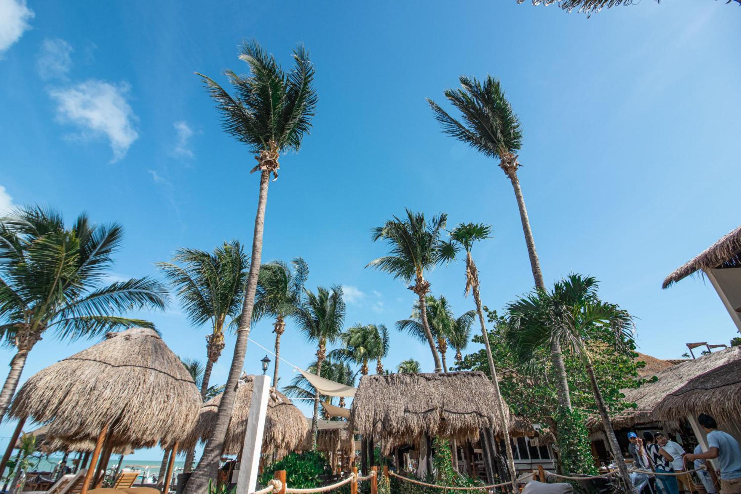 Amaite Beach Hotel - Property Image 54