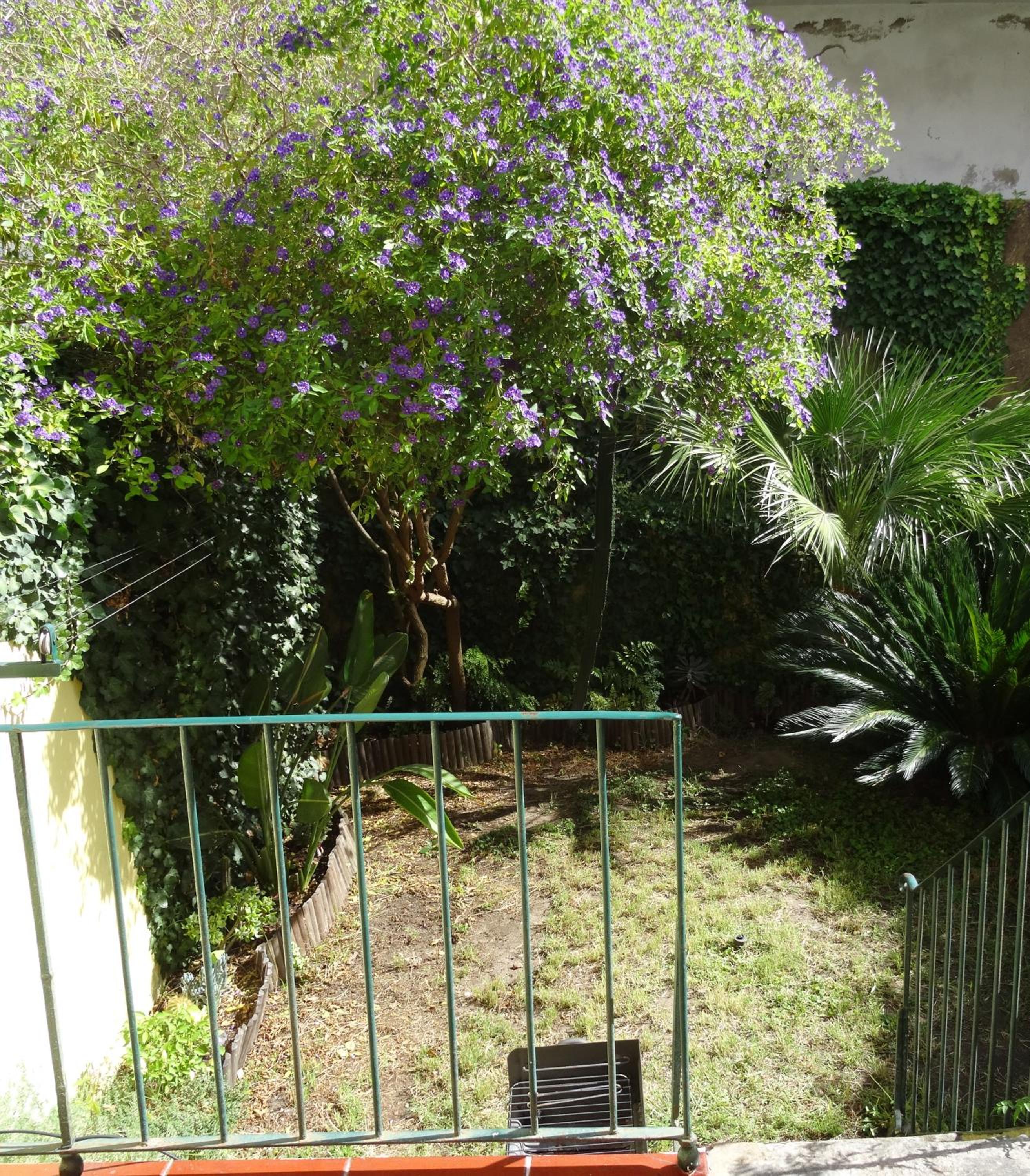 Jardin d'Olisipo - Centre Ville view 3