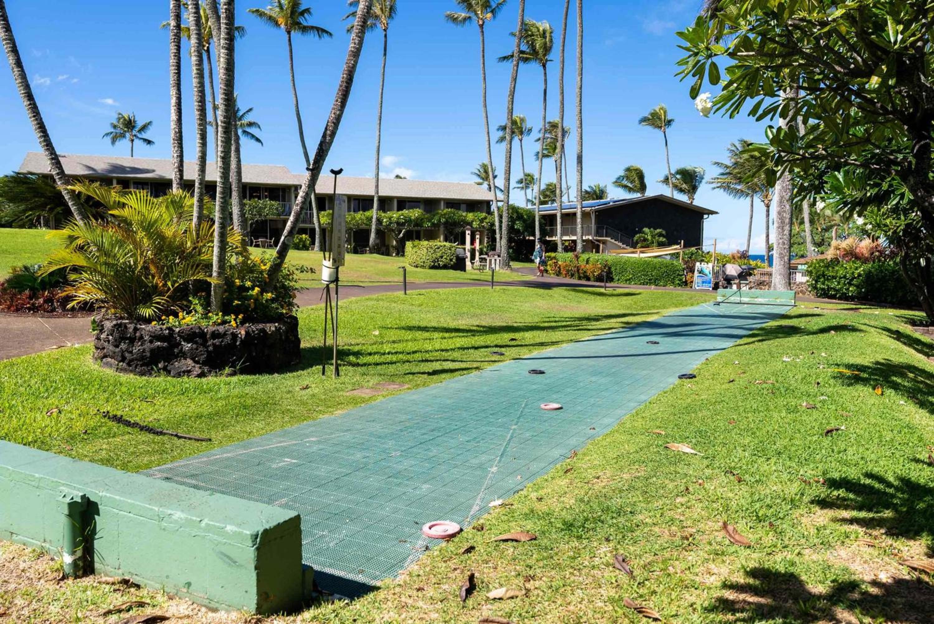 Napili Shores A202 OF Studio condo view 5