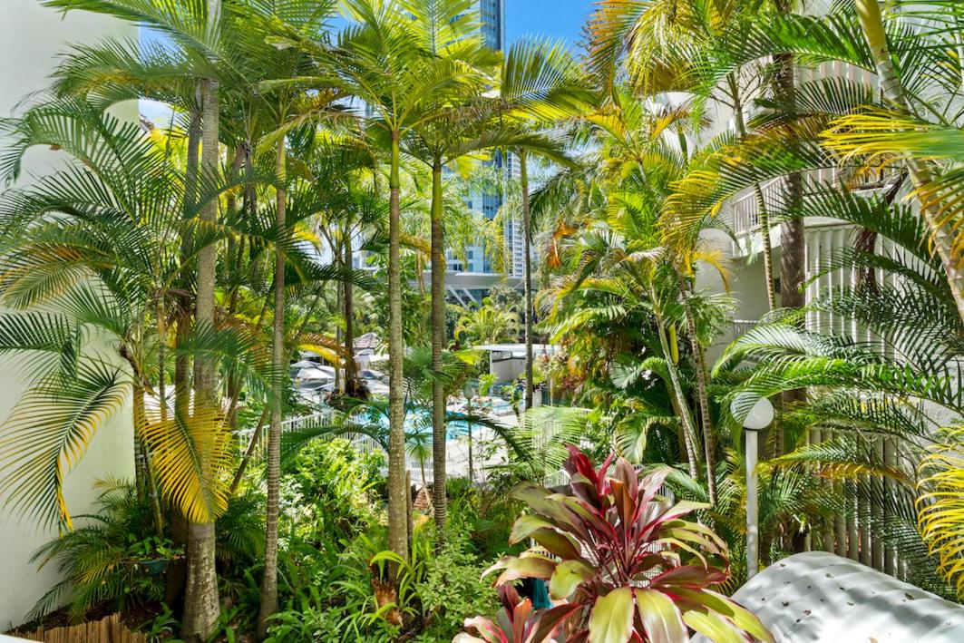 Coco Bella Dream in Surfers Paradise