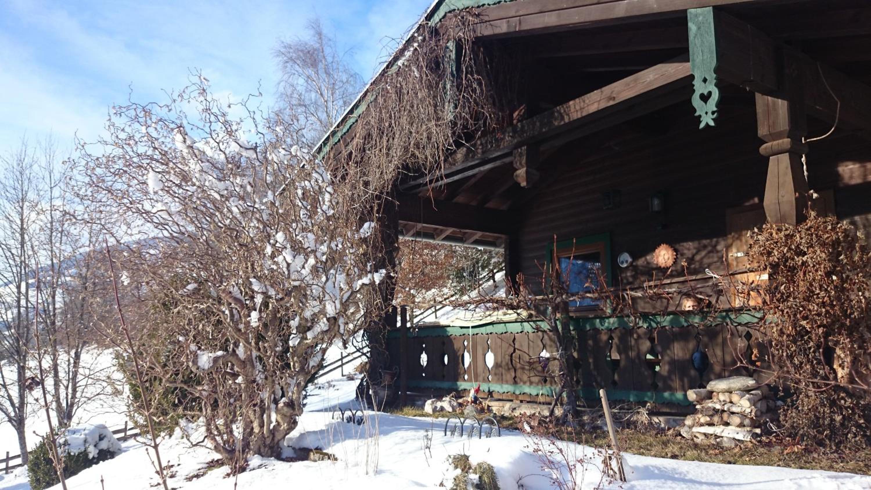 Photo 48