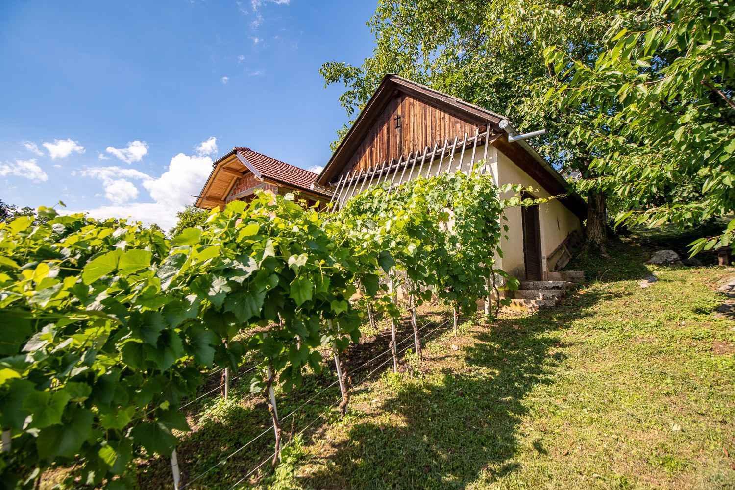 Holiday home in Dobrnic - Dolenjska & Bela krajina Unter- & Weißkrain 26093