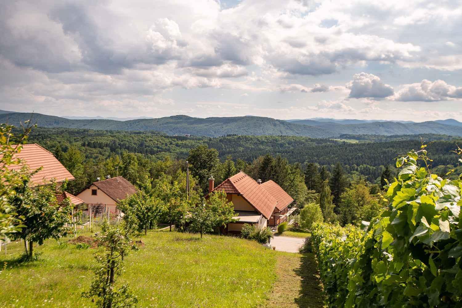 Holiday home in Dobrnic - Dolenjska & Bela krajina Unter- & Weißkrain 26093