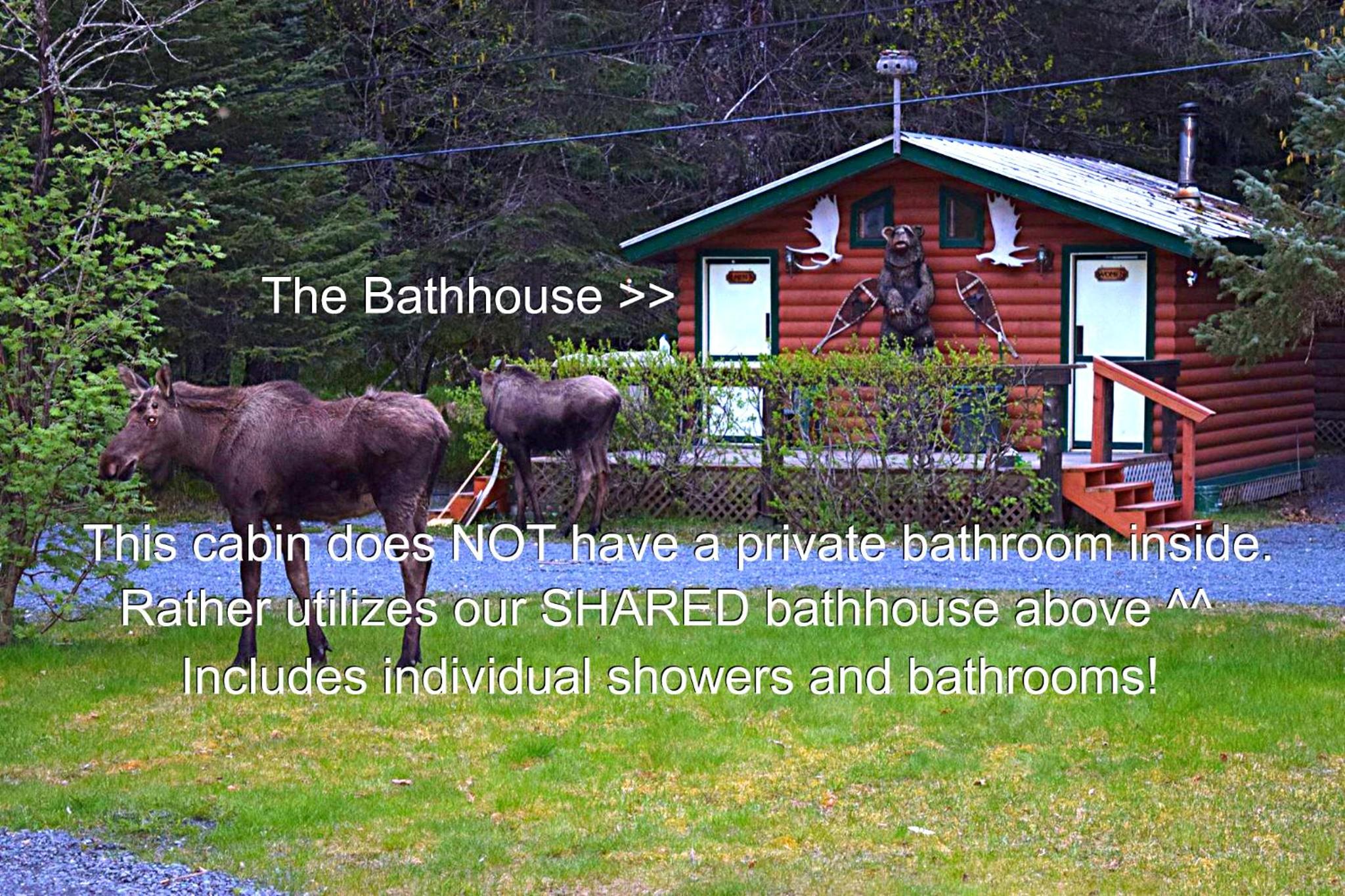 Alaska Creekside Cabins in Seward