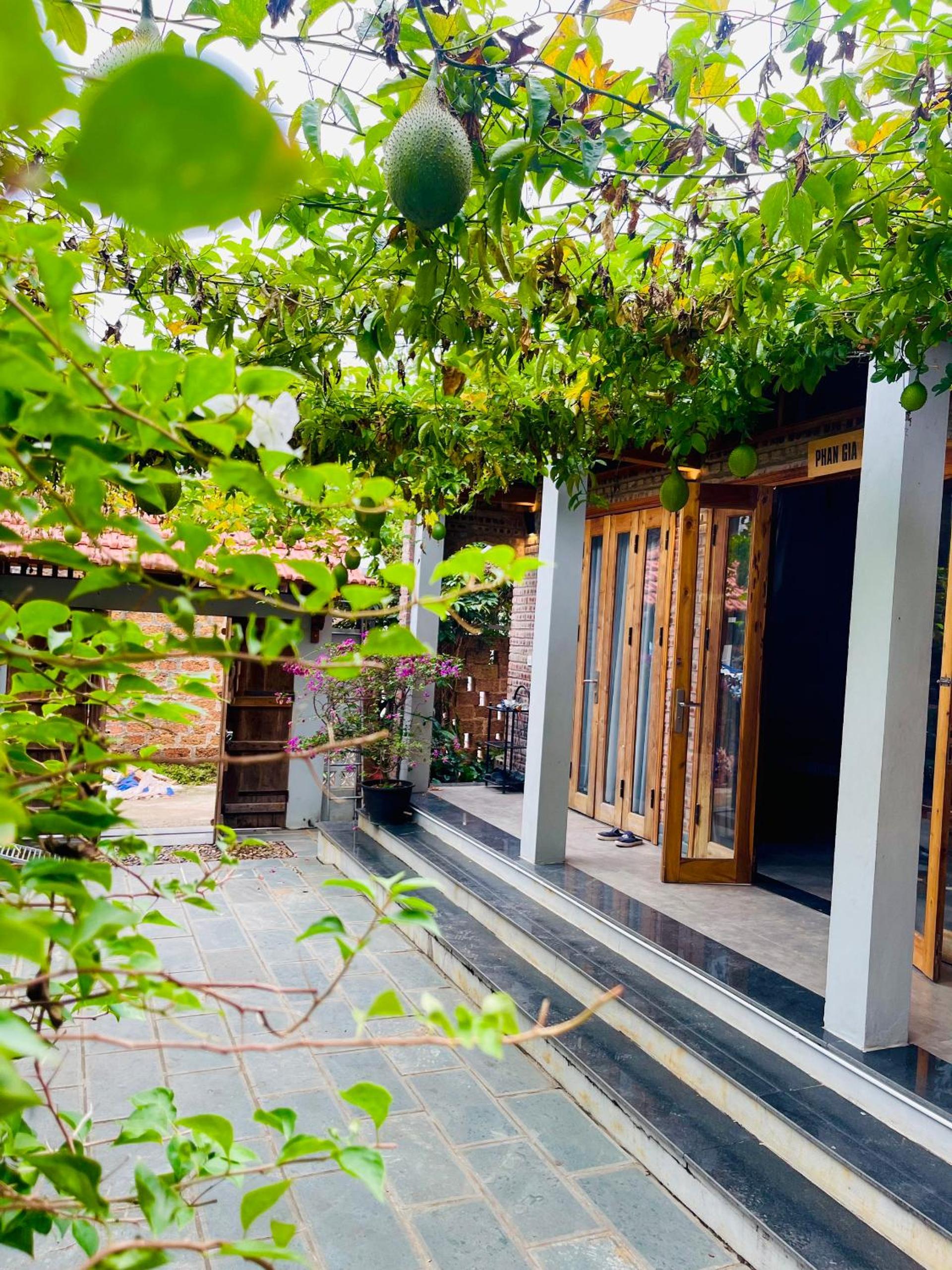 Đường Lâm homestay - House Number 9 view 5