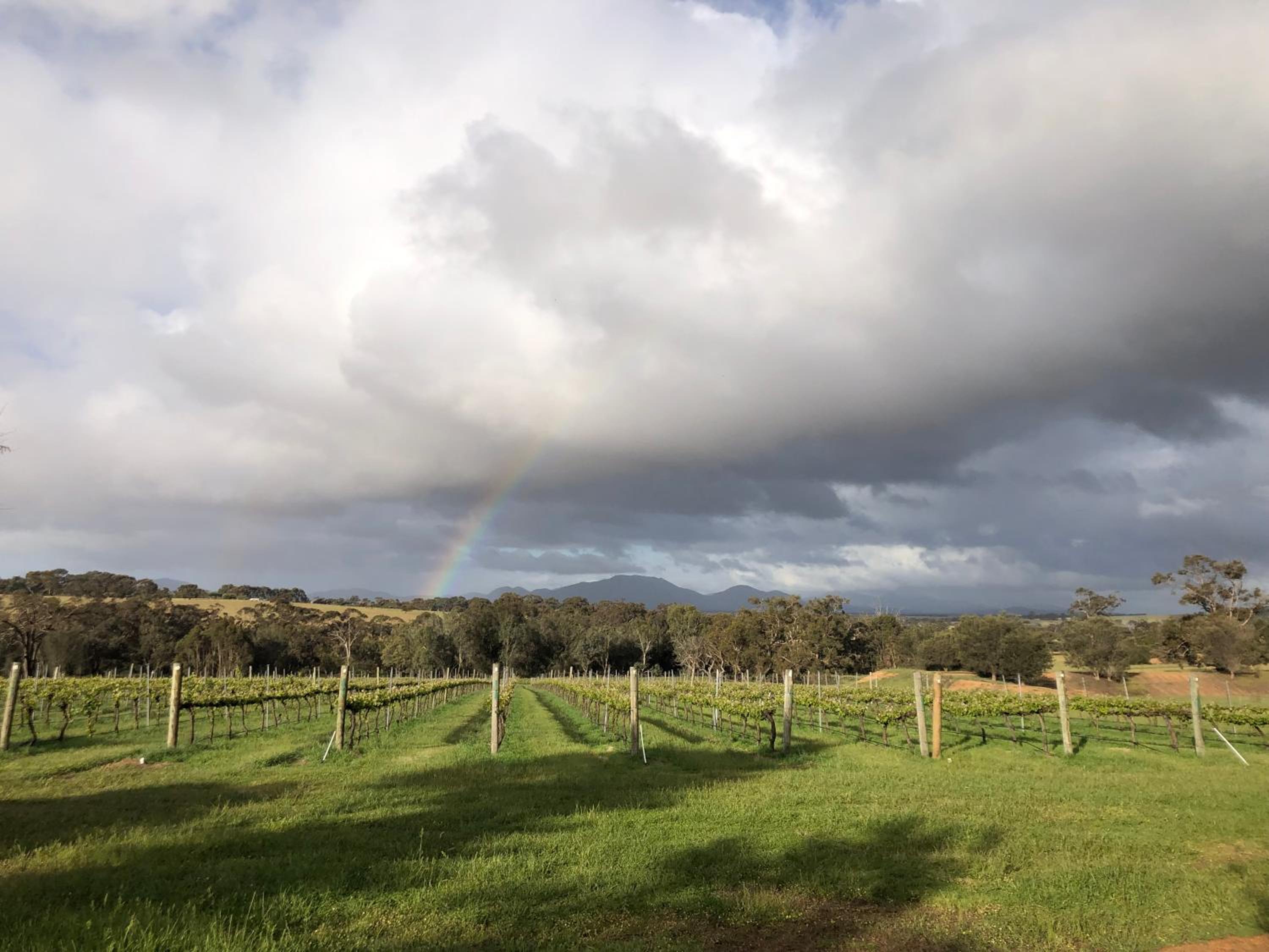 Mondurup Escape - Kendenup