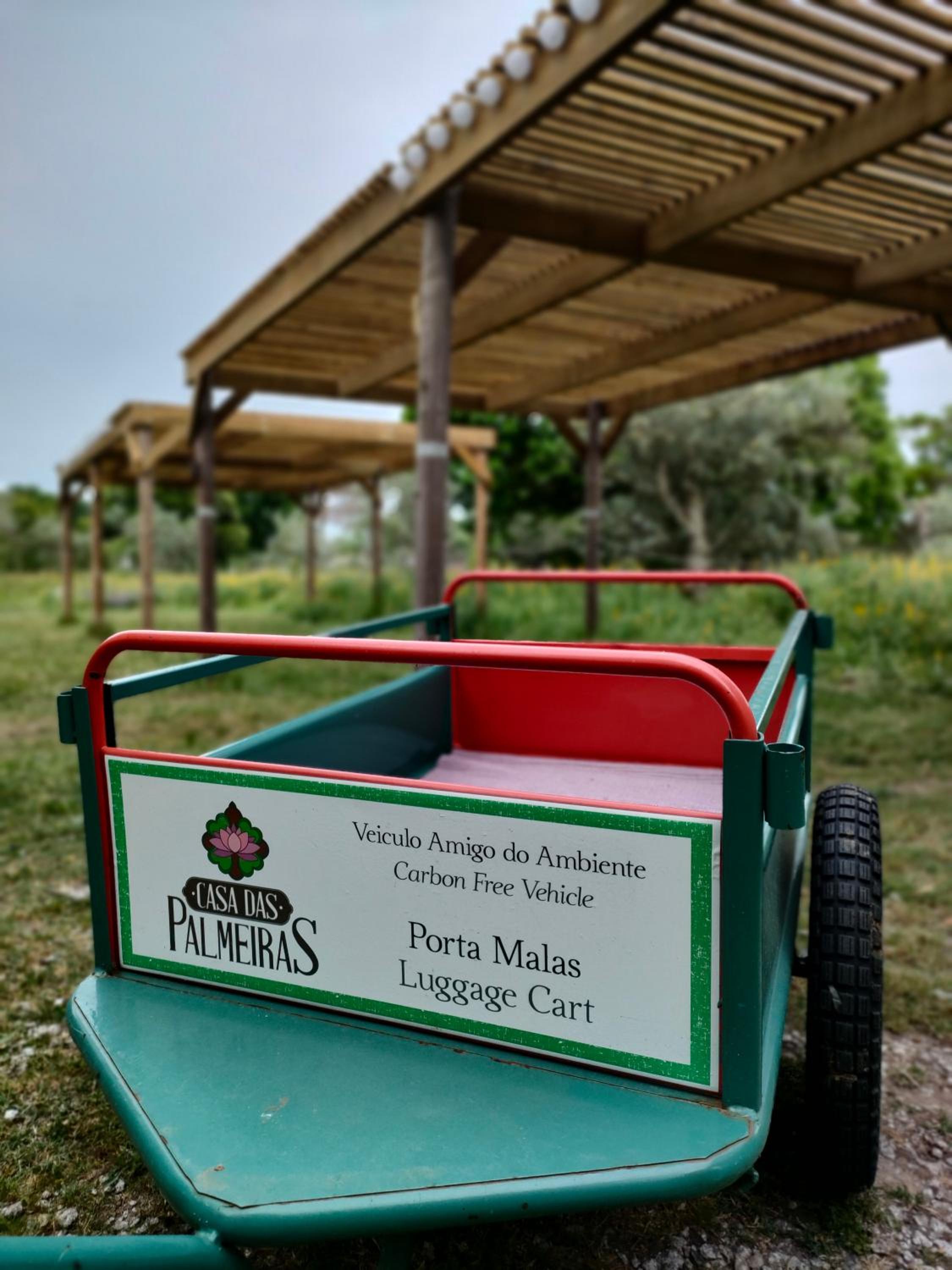 Casa Das Palmeiras-Pedagogic Farm