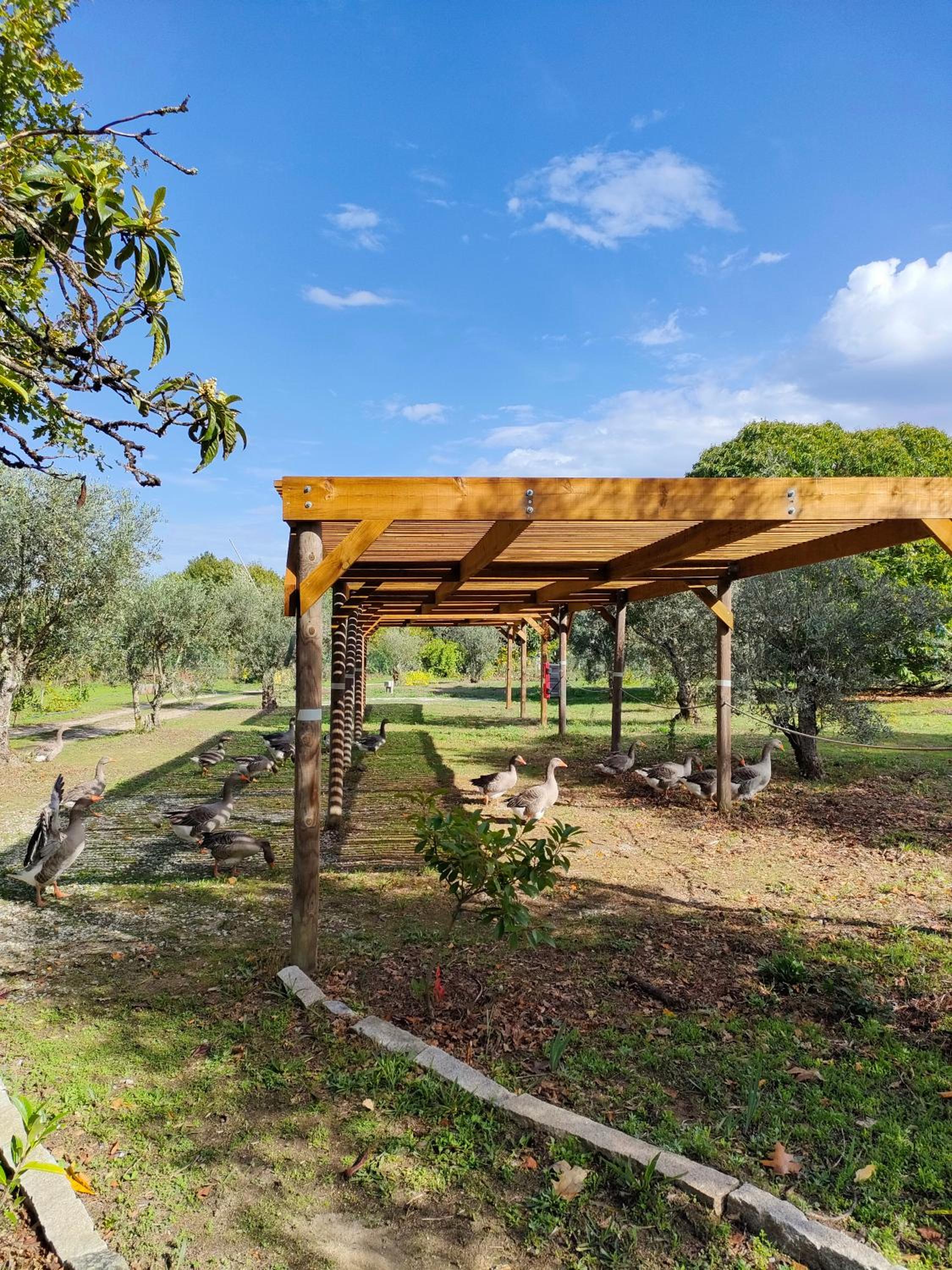 Casa Das Palmeiras-Pedagogic Farm