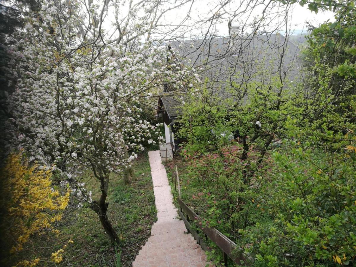 Photo 45