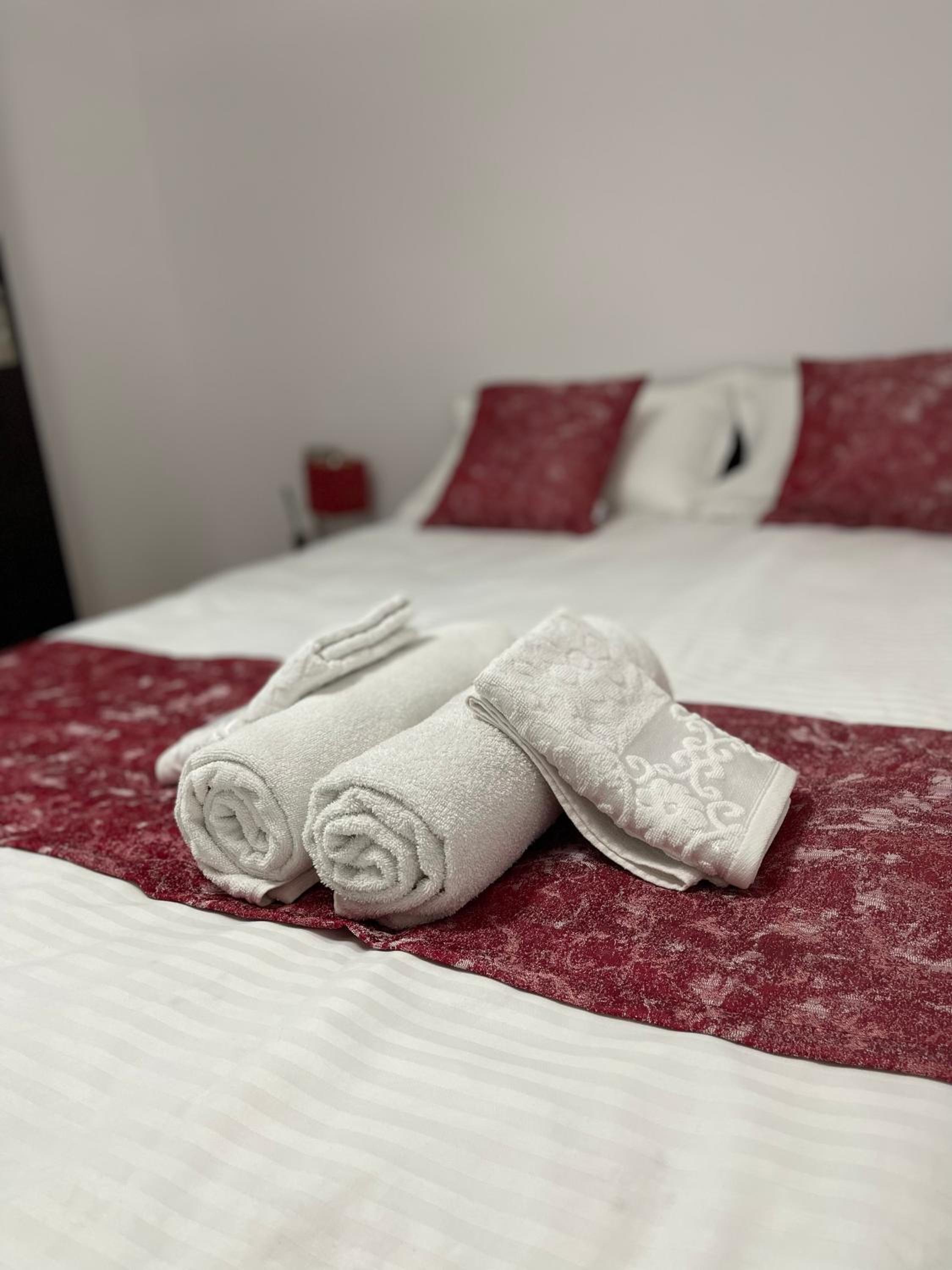 BUTTERFLY FAMILY APARTMENT SIBIU view 3