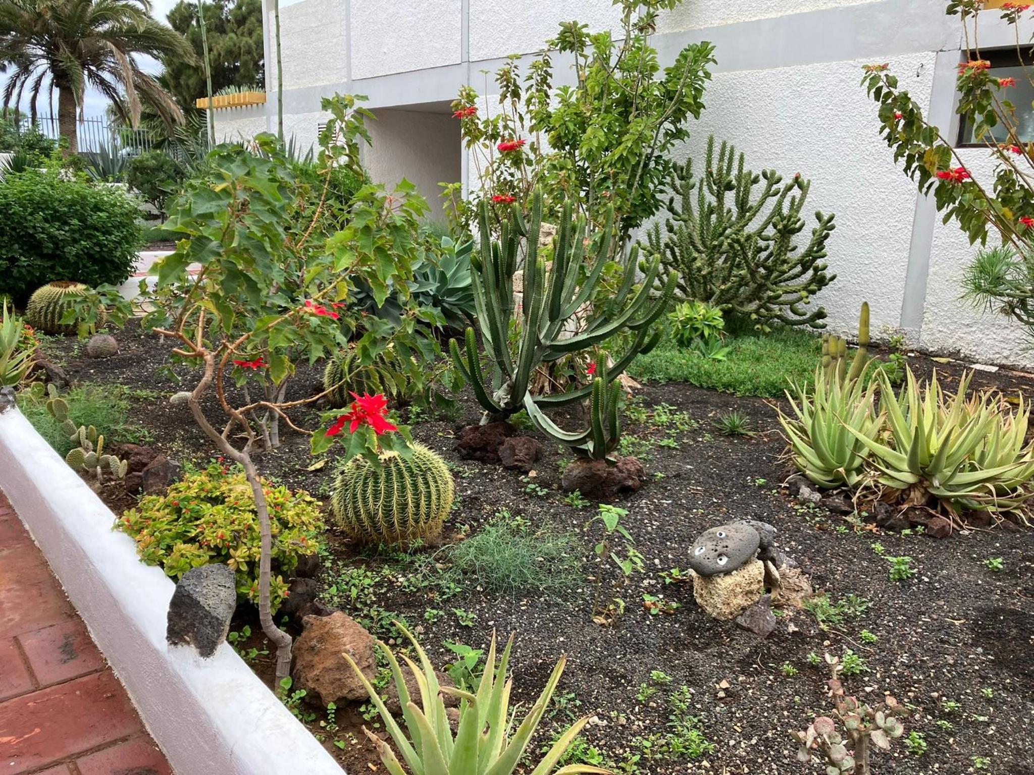 CasaBarco