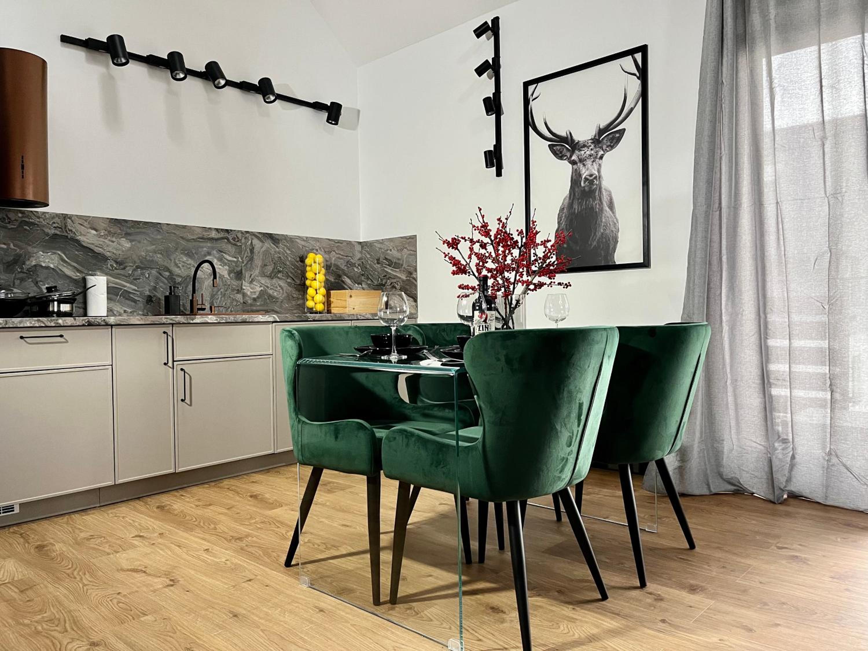 Apartamenty Maxa Czornyja view 4