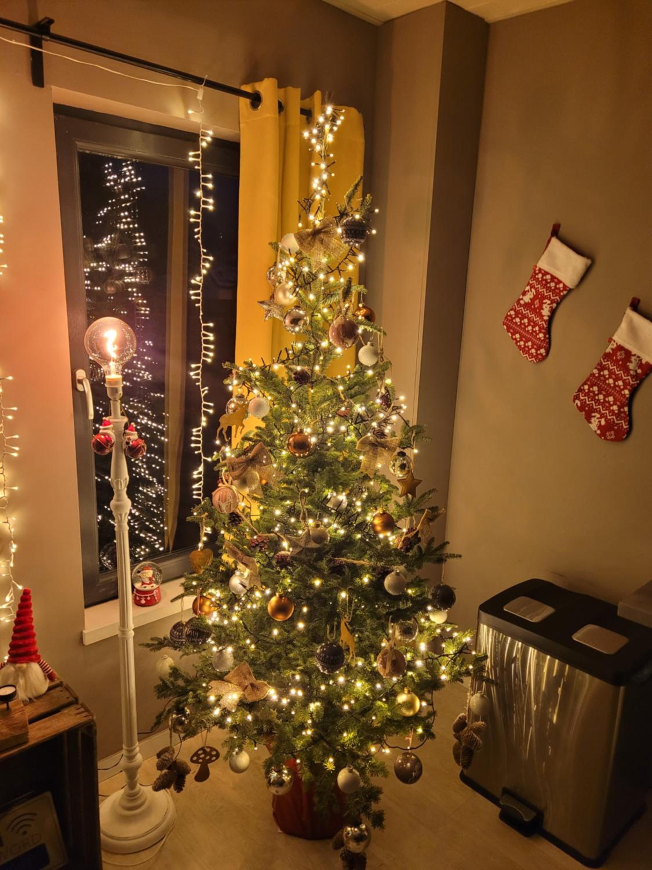 My house