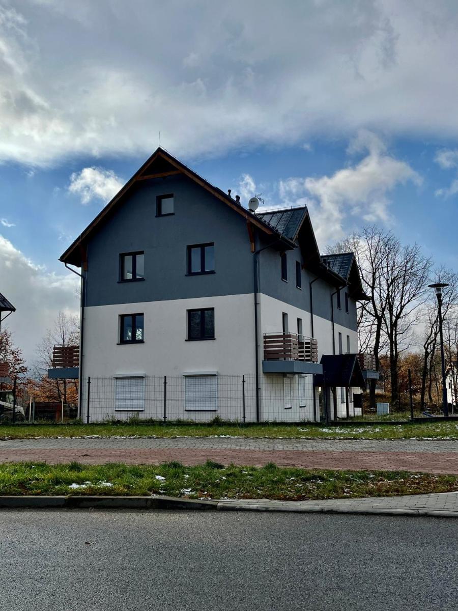 Apartamenty Maxa Czornyja view 5