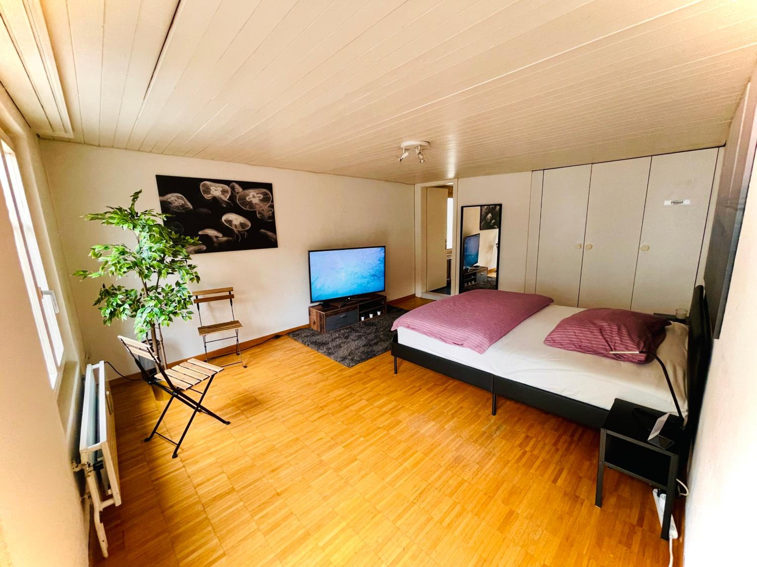 Newly furnished beautiful old building apartment in the center with Apple TV O1
