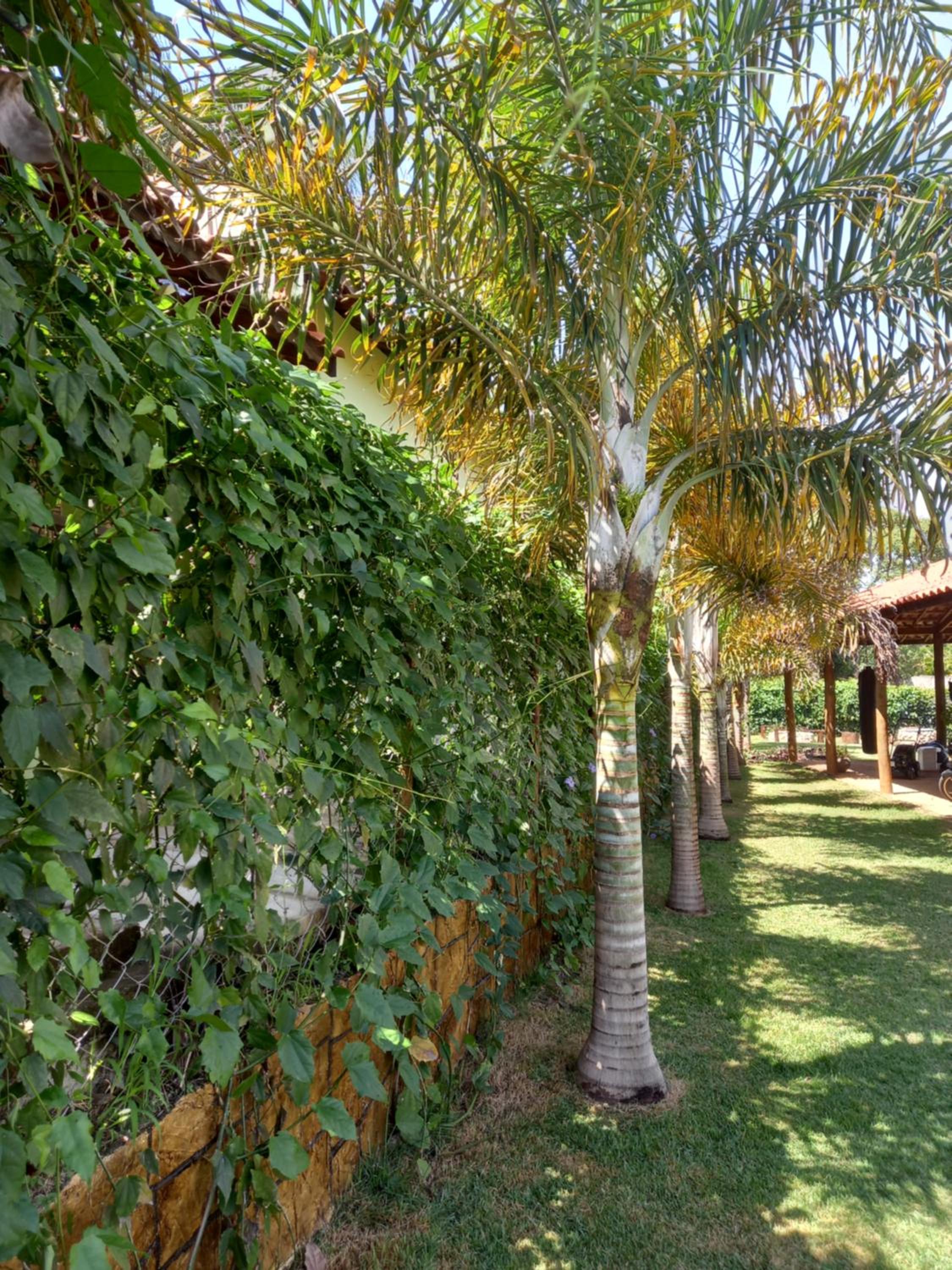 Rancho Santana