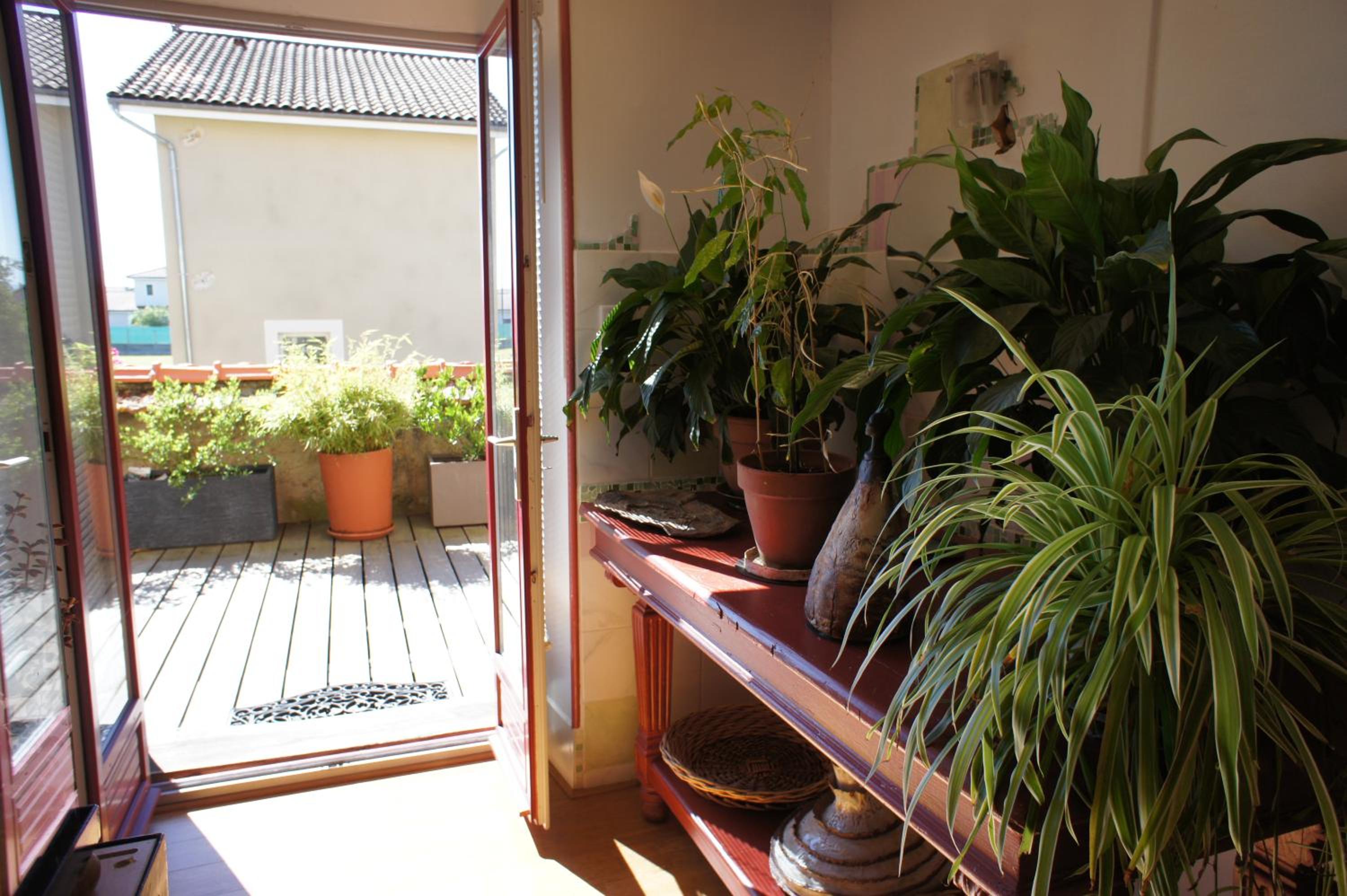 MAS TERRE Chambres d'Hôtes, photo 48
