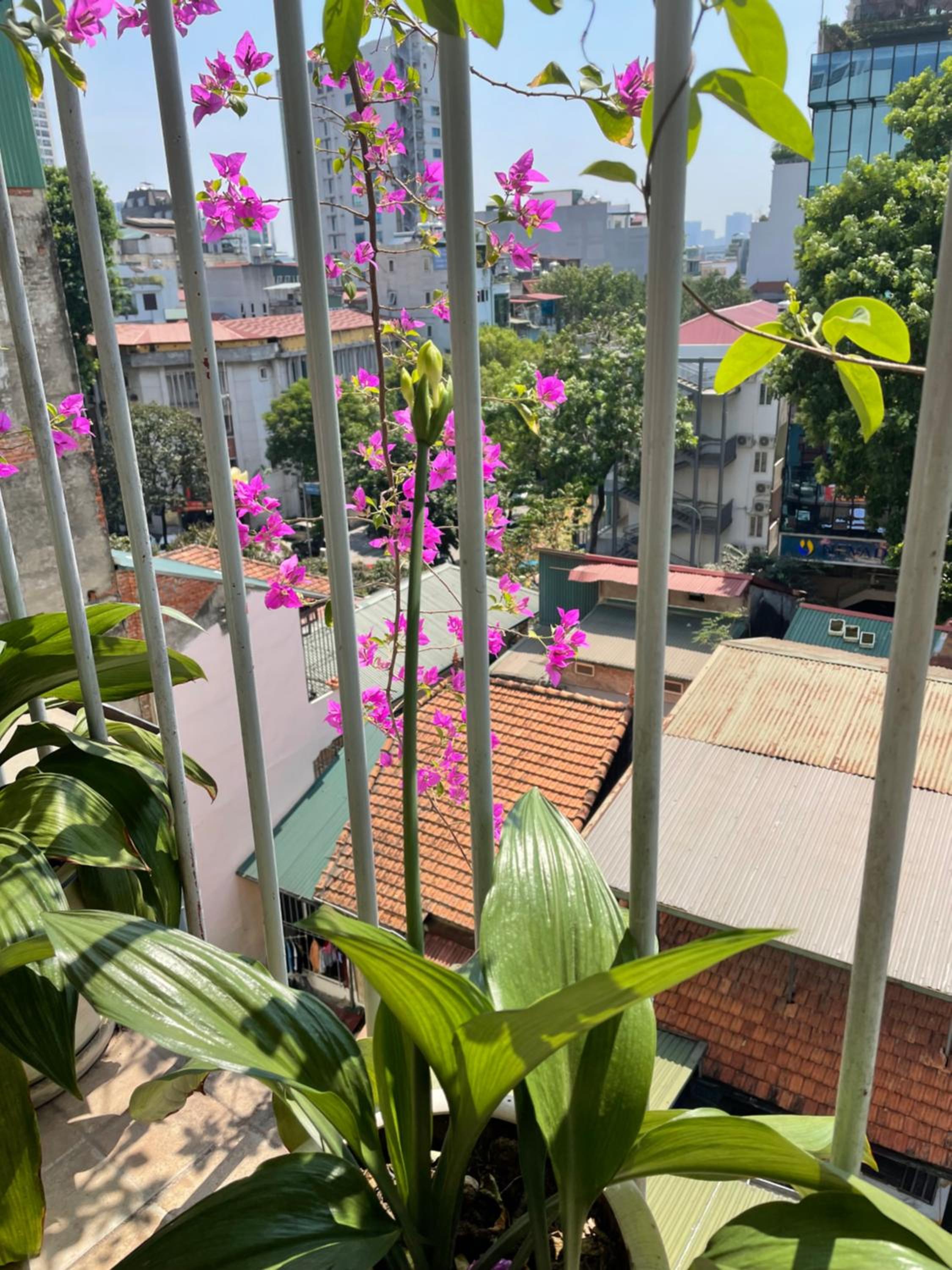 May Residence-800m from Opera House
