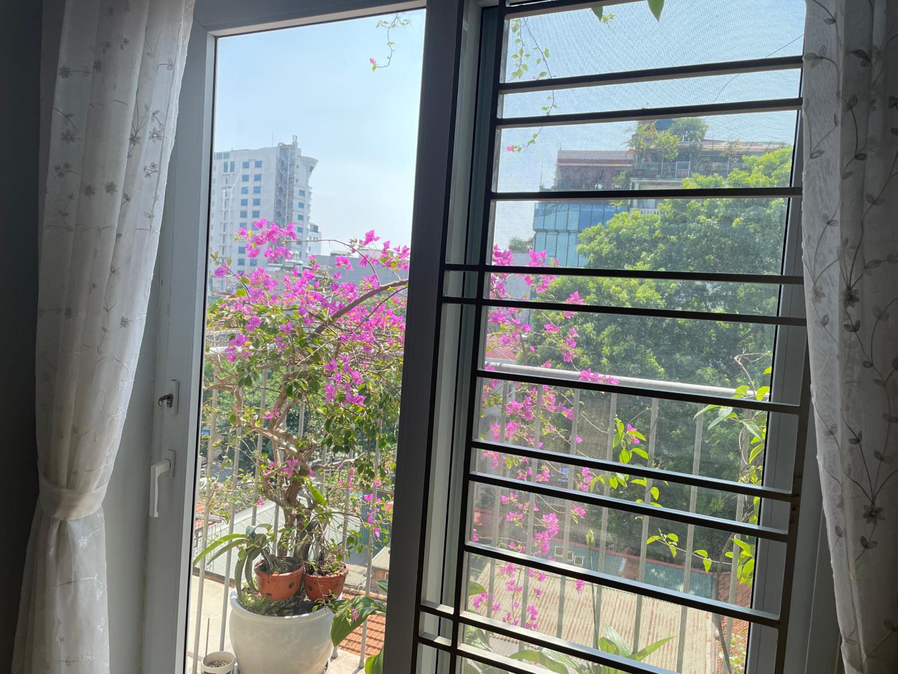May Residence-800m from Opera House