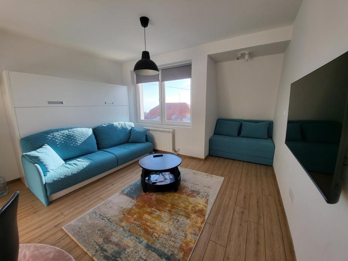 Apartman Ognjen view 5
