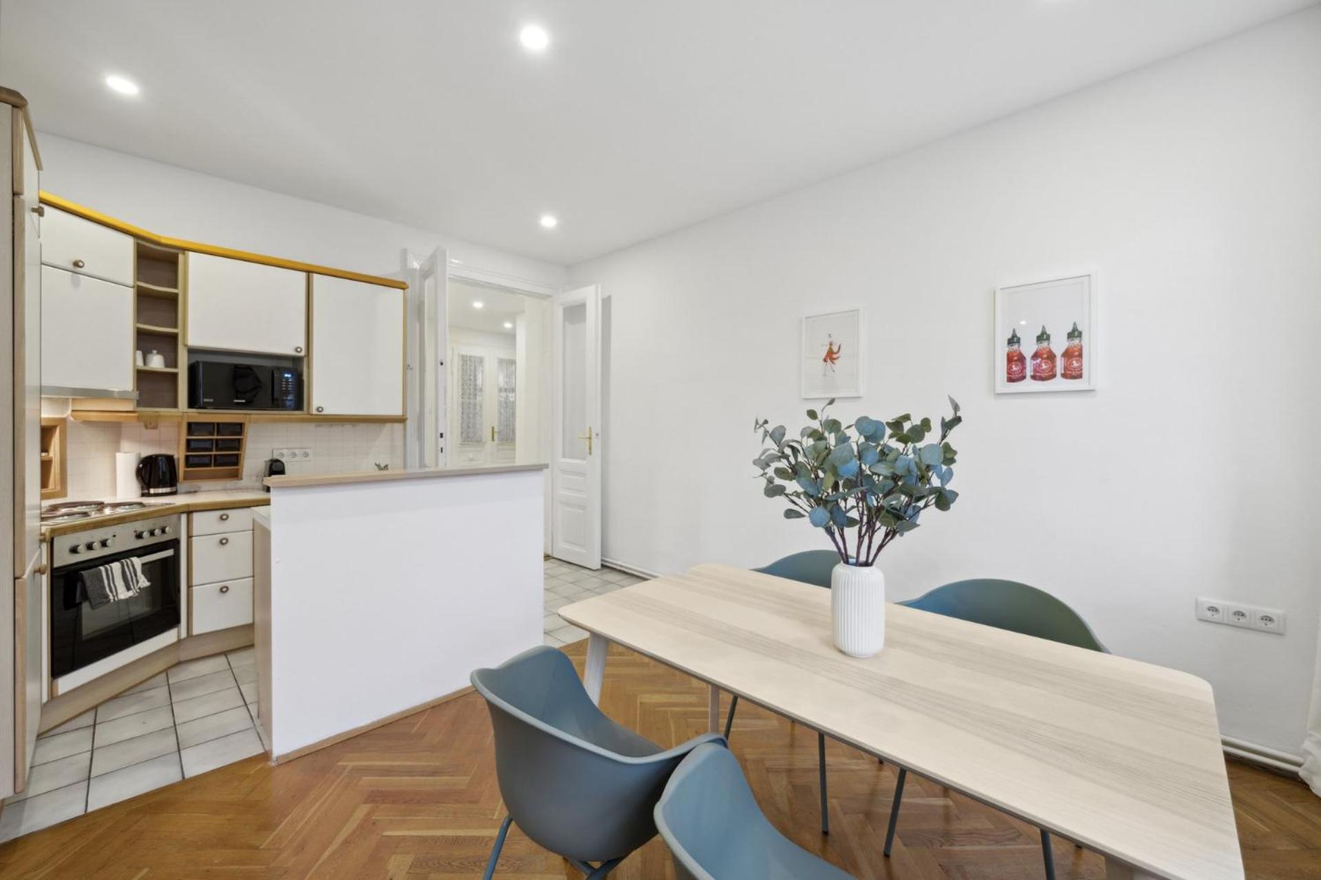 Big spacious central apartment in Vienna