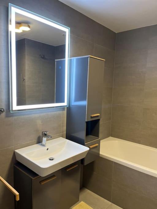 Apartman Holesovice,balkon,garaz